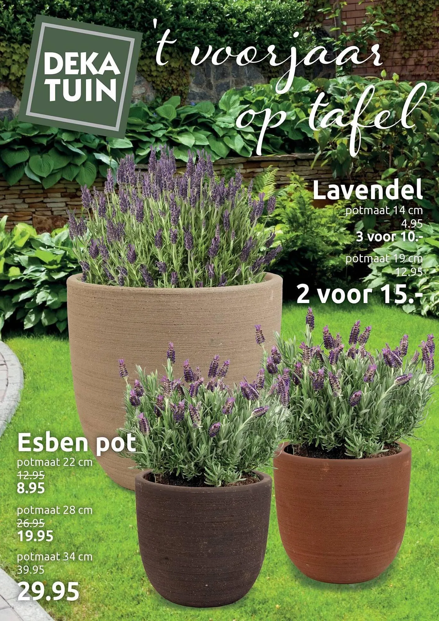 Deka Tuin folder van 17 maart tot 30 maart 2025 - Folder pagina 1