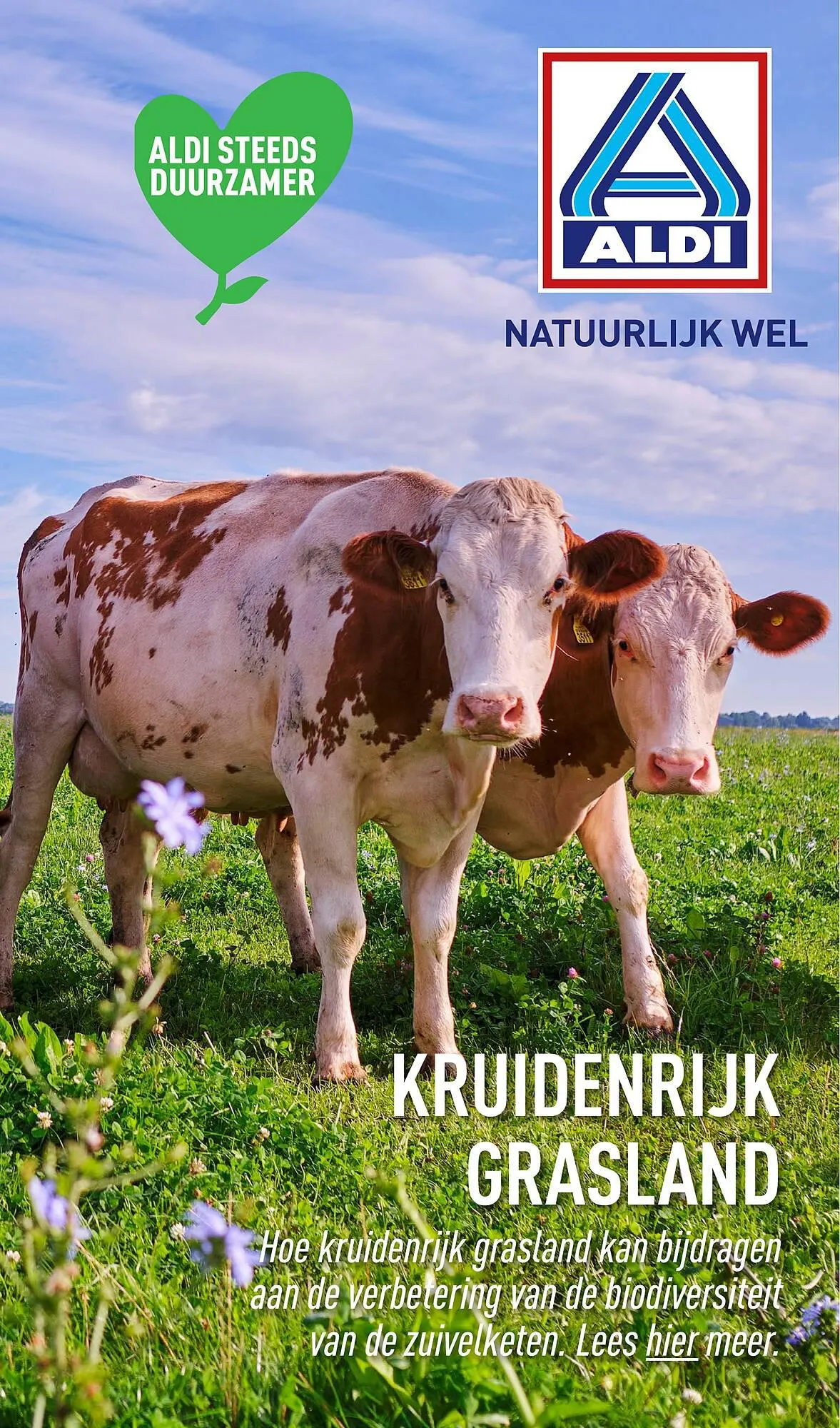 ALDI Kruidenrijk Grasland folder van 18 september tot 28 oktober 2023 - Folder pagina 1