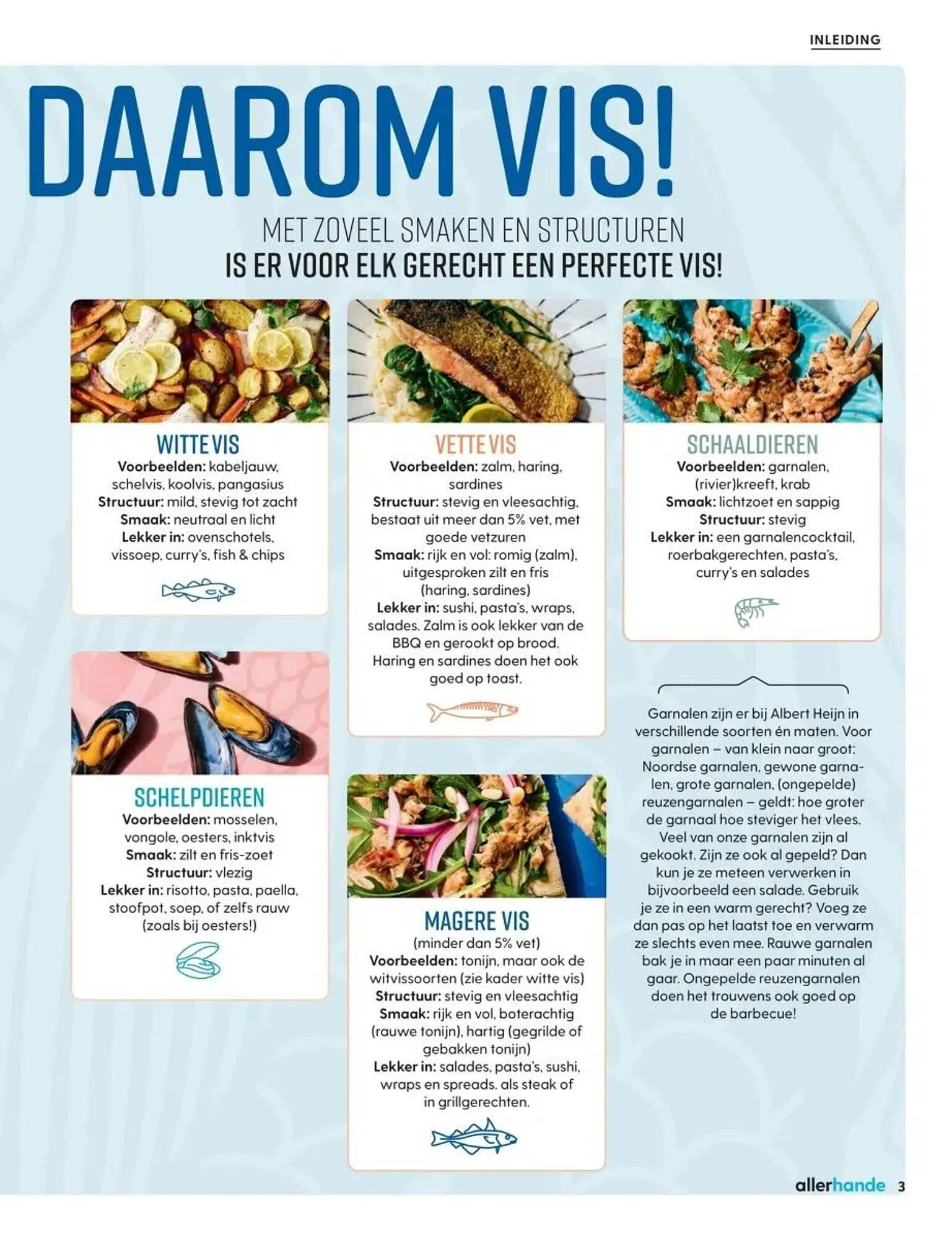 Albert Heijn folder van 19 mei tot 16 juni 2025 - Folder pagina 3