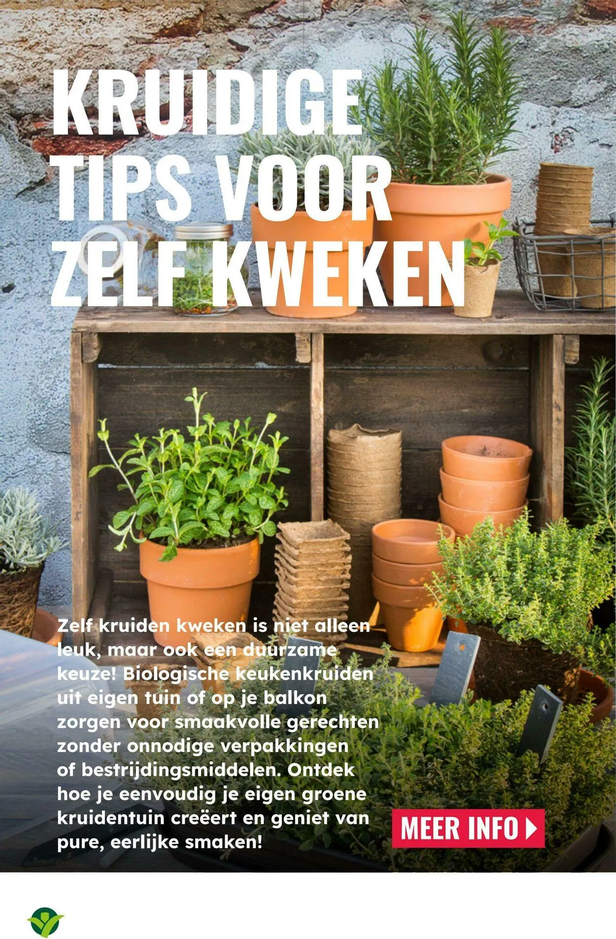 GroenRijk Actuele folder van 10 juni tot 24 juni 2025 - Folder pagina 6