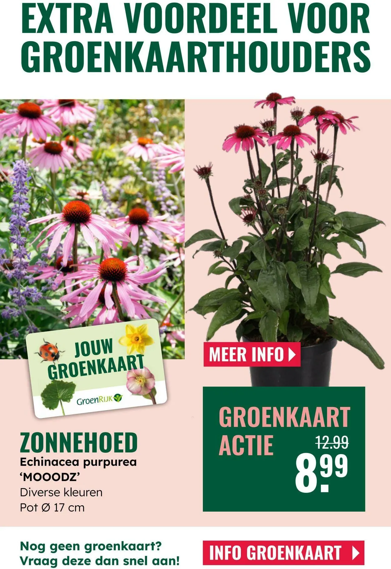 GroenRijk Actuele folder van 16 september tot 30 september 2025 - Folder pagina 20