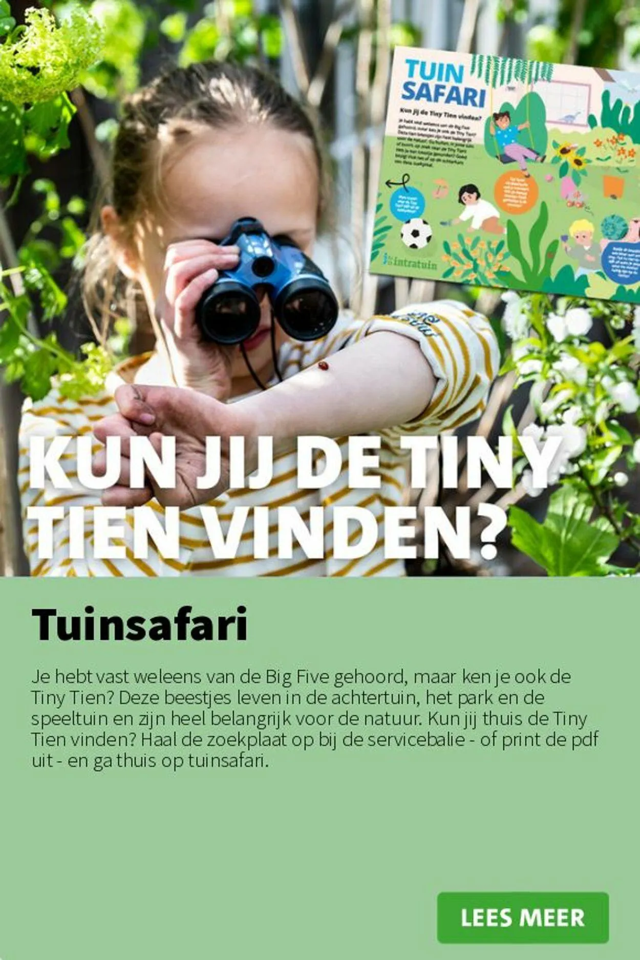 Intratuin Actuele folder van 9 november tot 23 november 2025 - Folder pagina 12