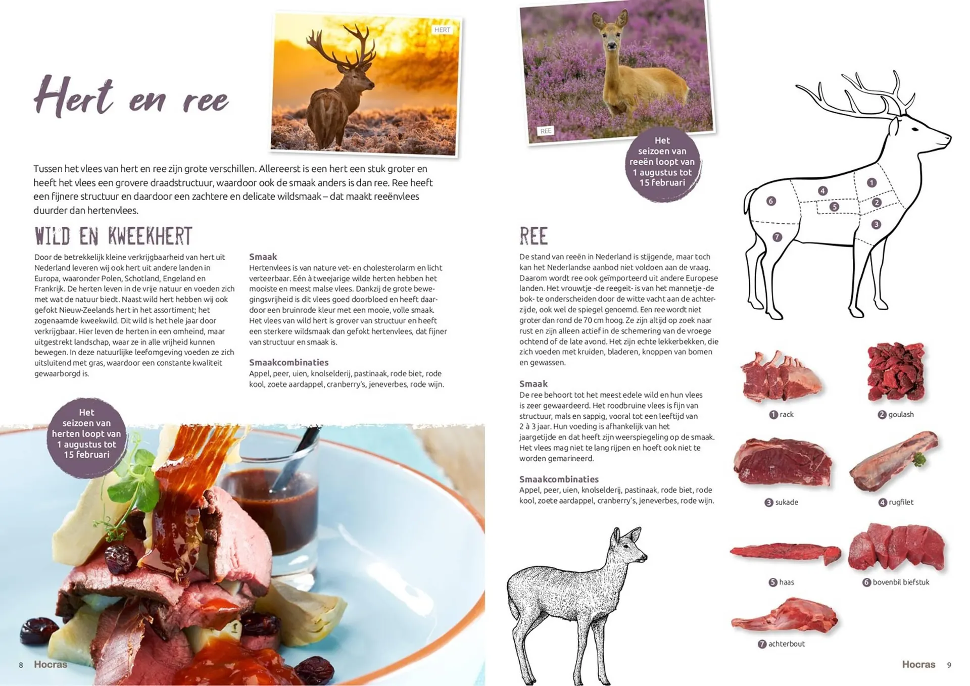 Hocras folder van 15 februari tot 31 december 2023 - Folder pagina 5