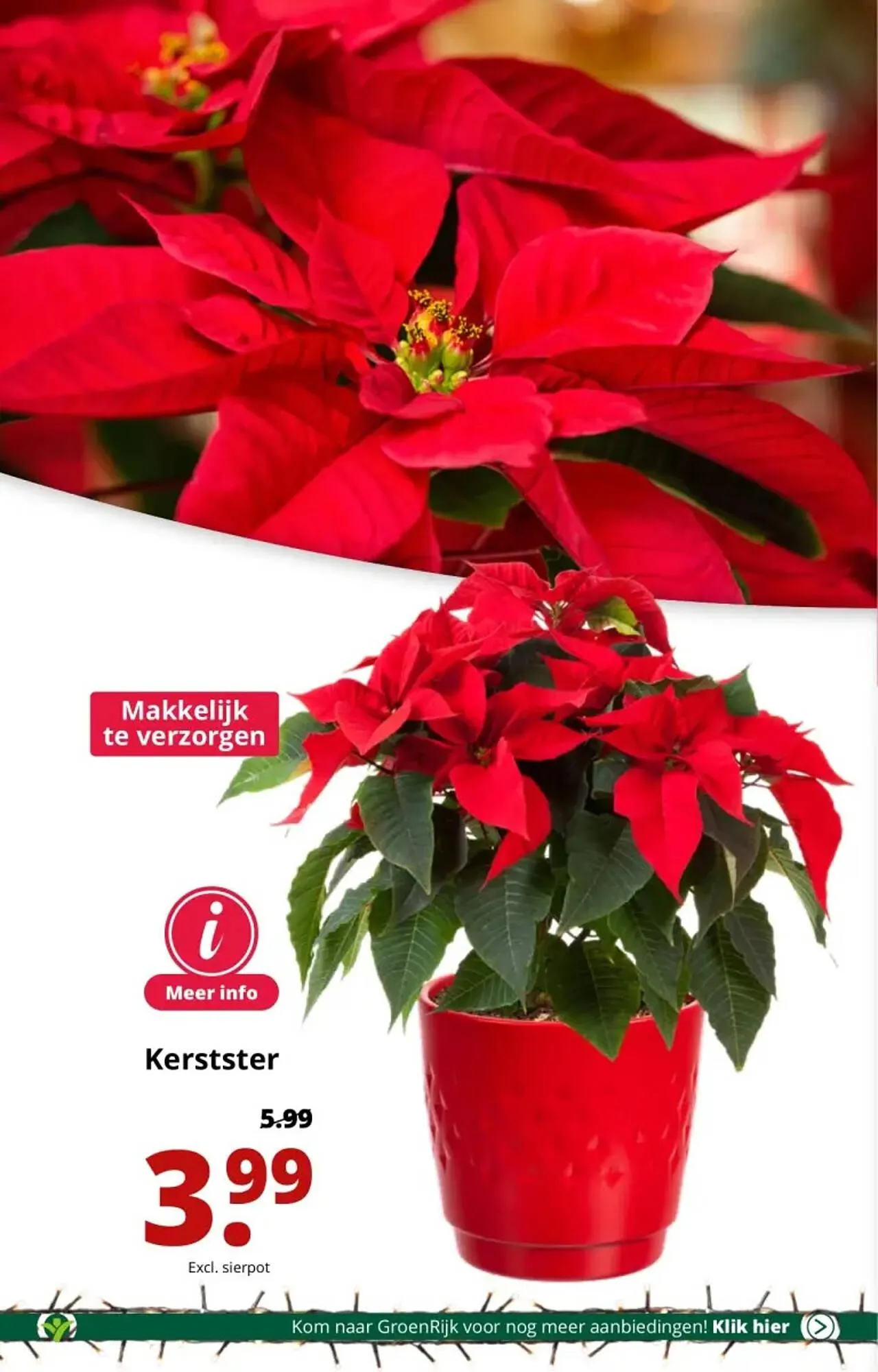 GroenRijk folder van 29 november tot 5 december 2023 - Folder pagina 10