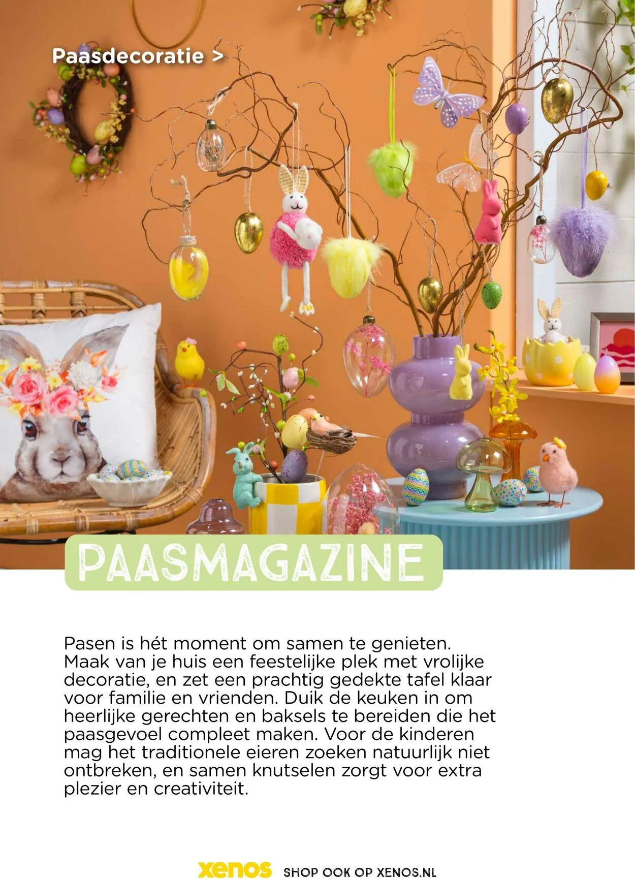 Xenos van 31 maart tot 31 mei 2025 - Folder pagina 2