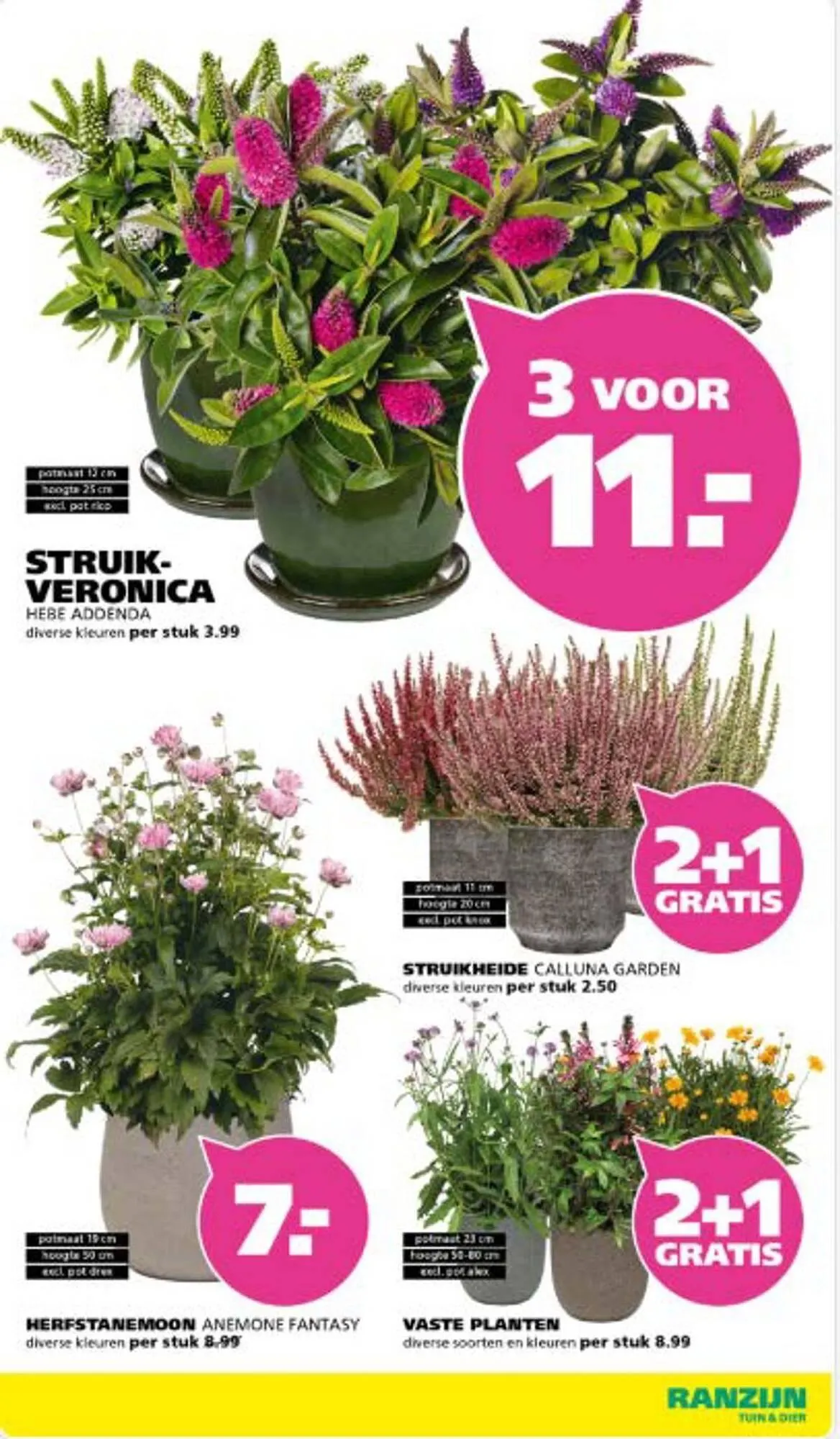 Ranzijn folder van 4 augustus tot 23 augustus 2025 - Folder pagina 14