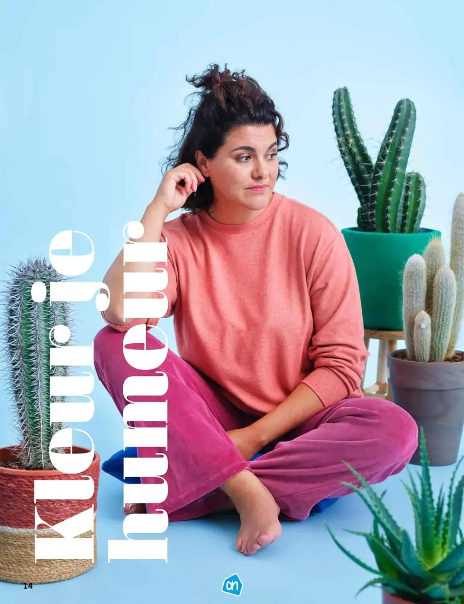 Albert Heijn magazine van 28 oktober tot 2 februari 2025 - Folder pagina 14