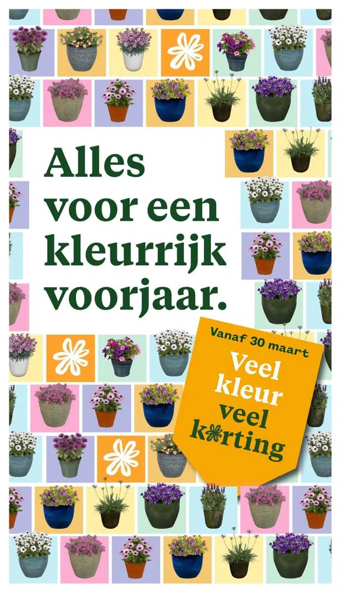 Welkoop folder van 16 maart tot 21 maart 2026 - Folder pagina 37