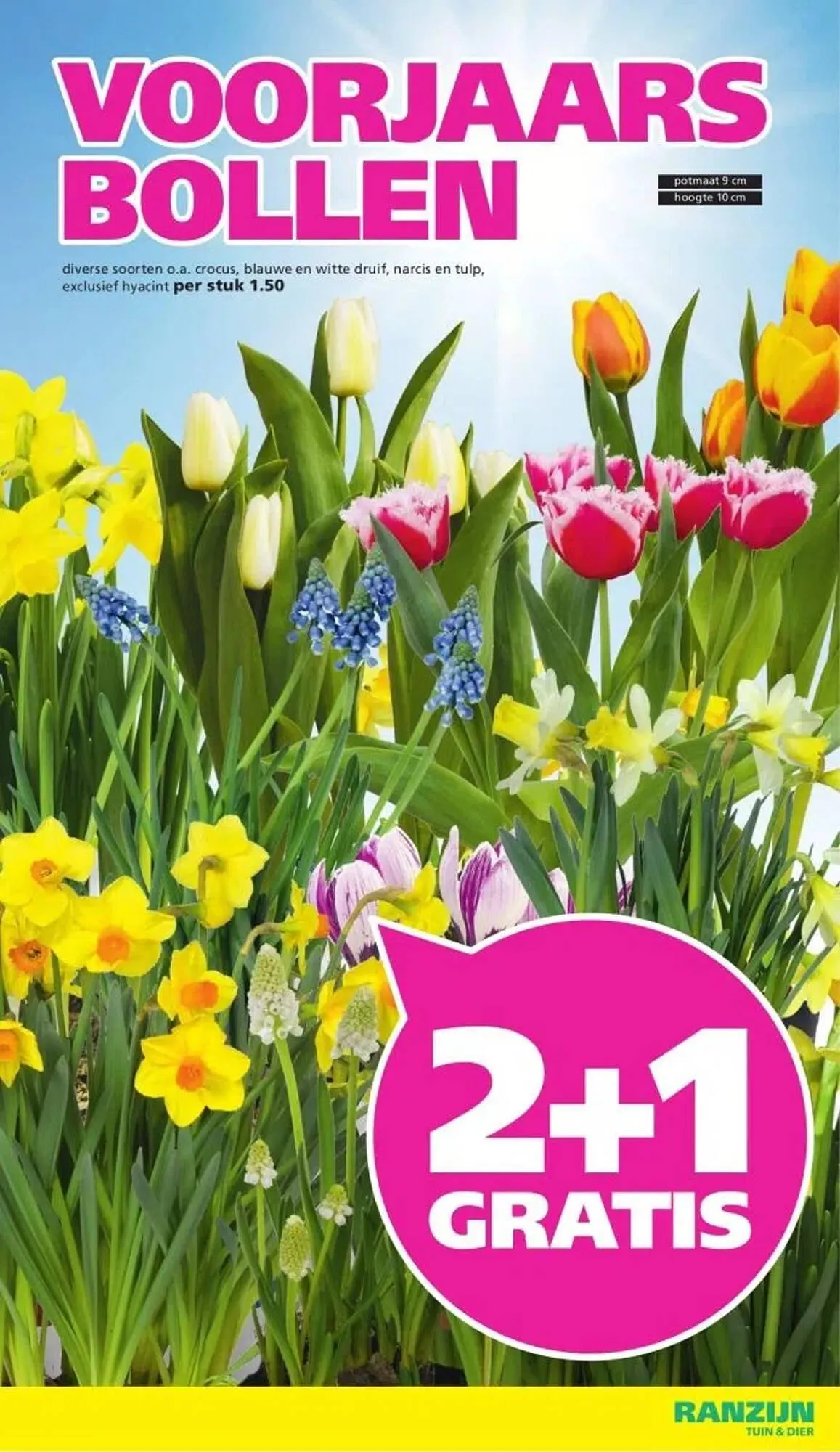 Ranzijn folder van 8 februari tot 21 februari 2026 - Folder pagina 6