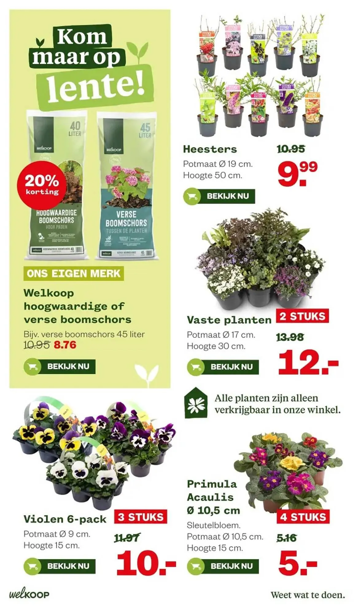 Welkoop folder van 16 februari tot 1 maart 2026 - Folder pagina 12