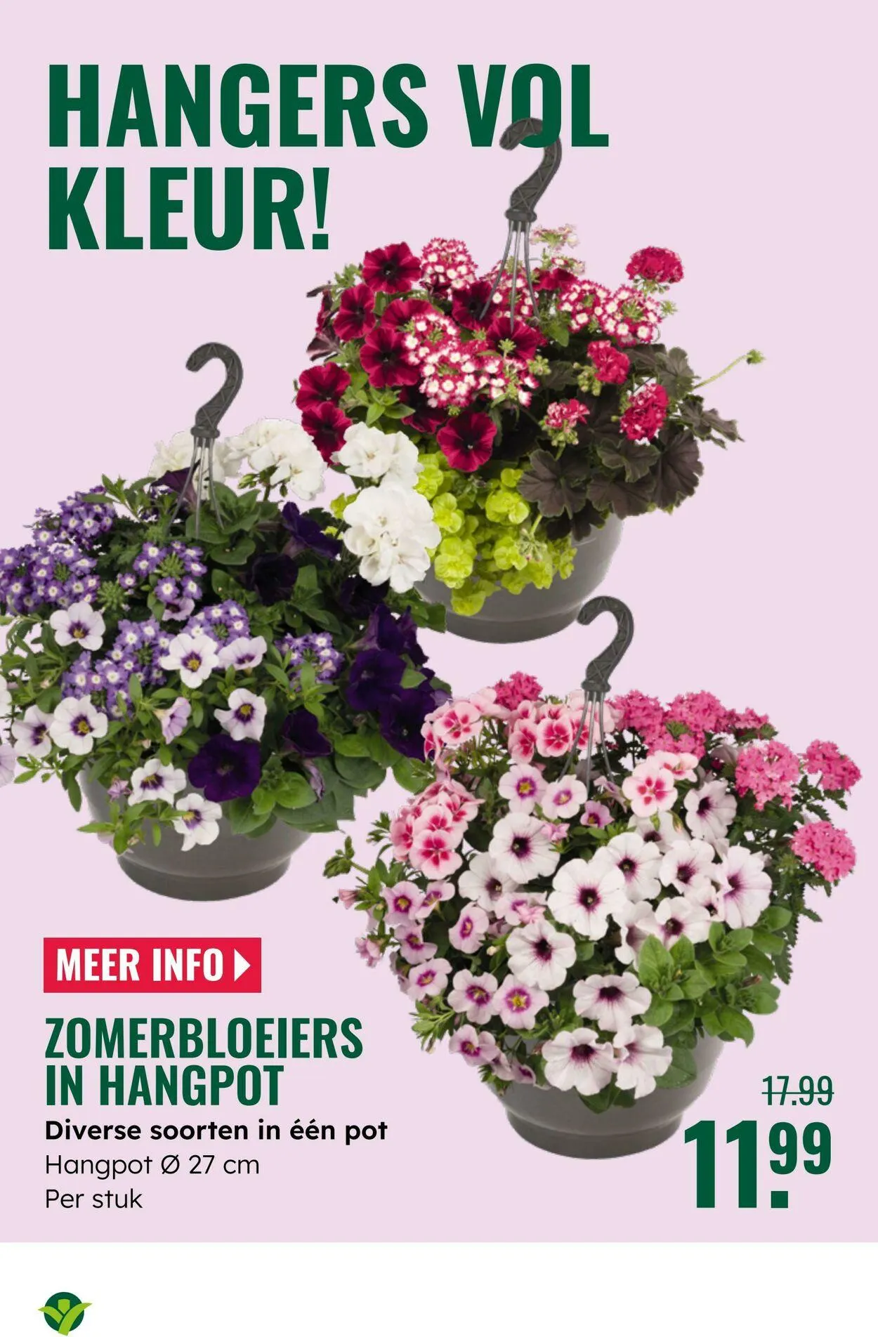 GroenRijk Actuele folder van 5 augustus tot 19 augustus 2025 - Folder pagina 4