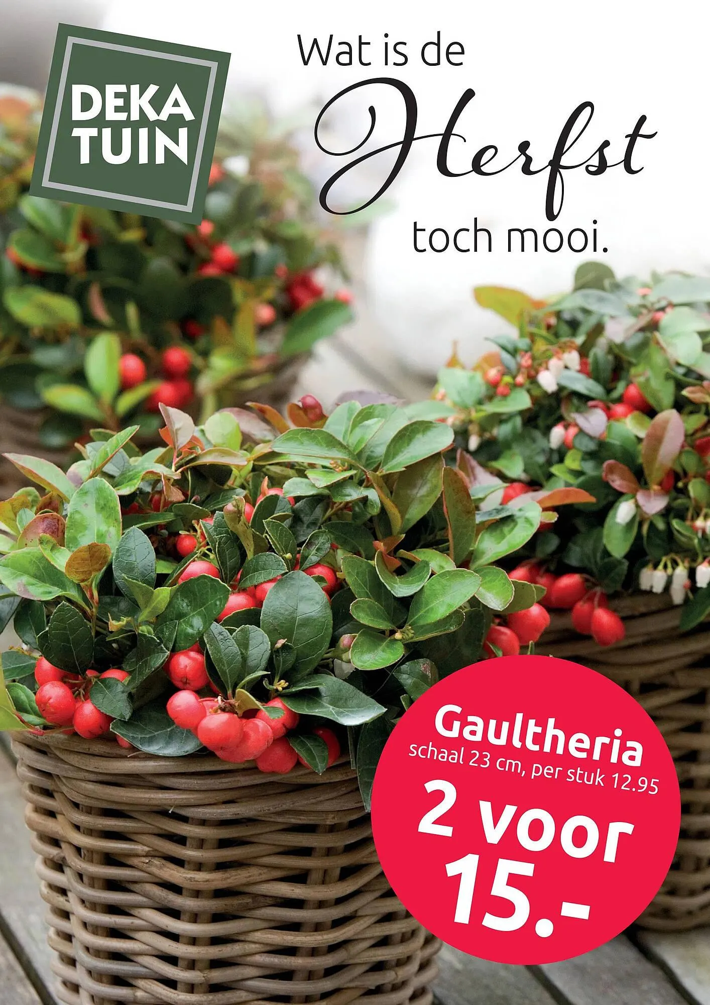 Deka Tuin folder van 13 oktober tot 26 oktober 2025 - Folder pagina 1
