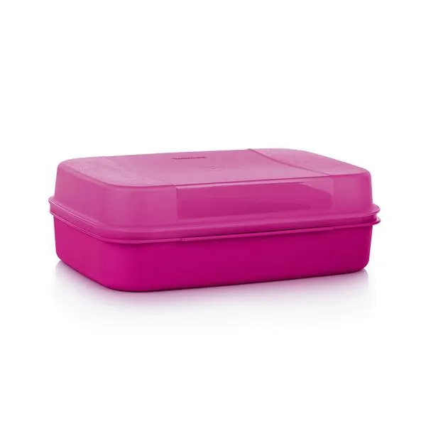 Tupperware Variadoos Groot / Laag