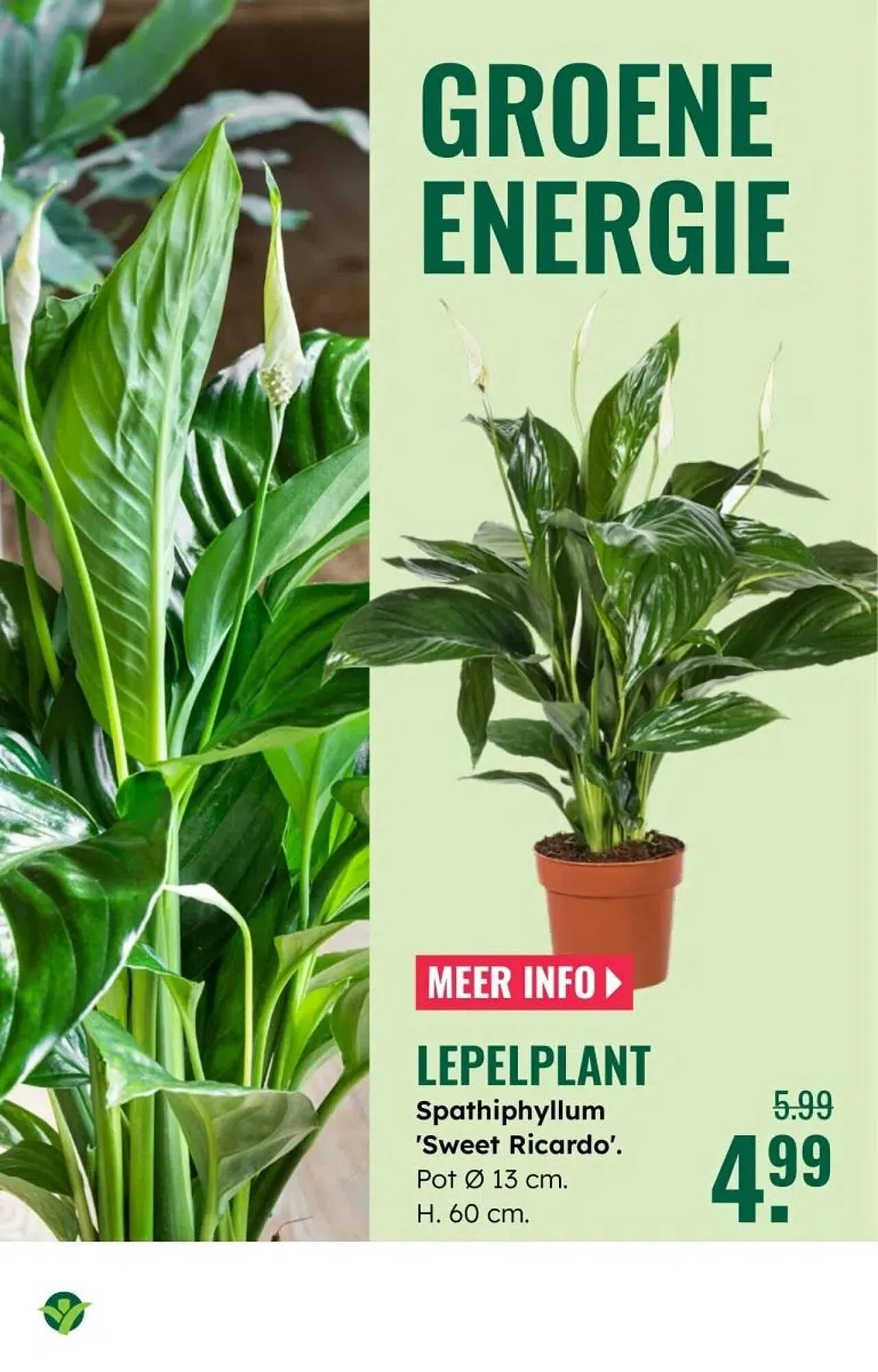 GroenRijk folder van 30 december tot 7 januari 2026 - Folder pagina 16