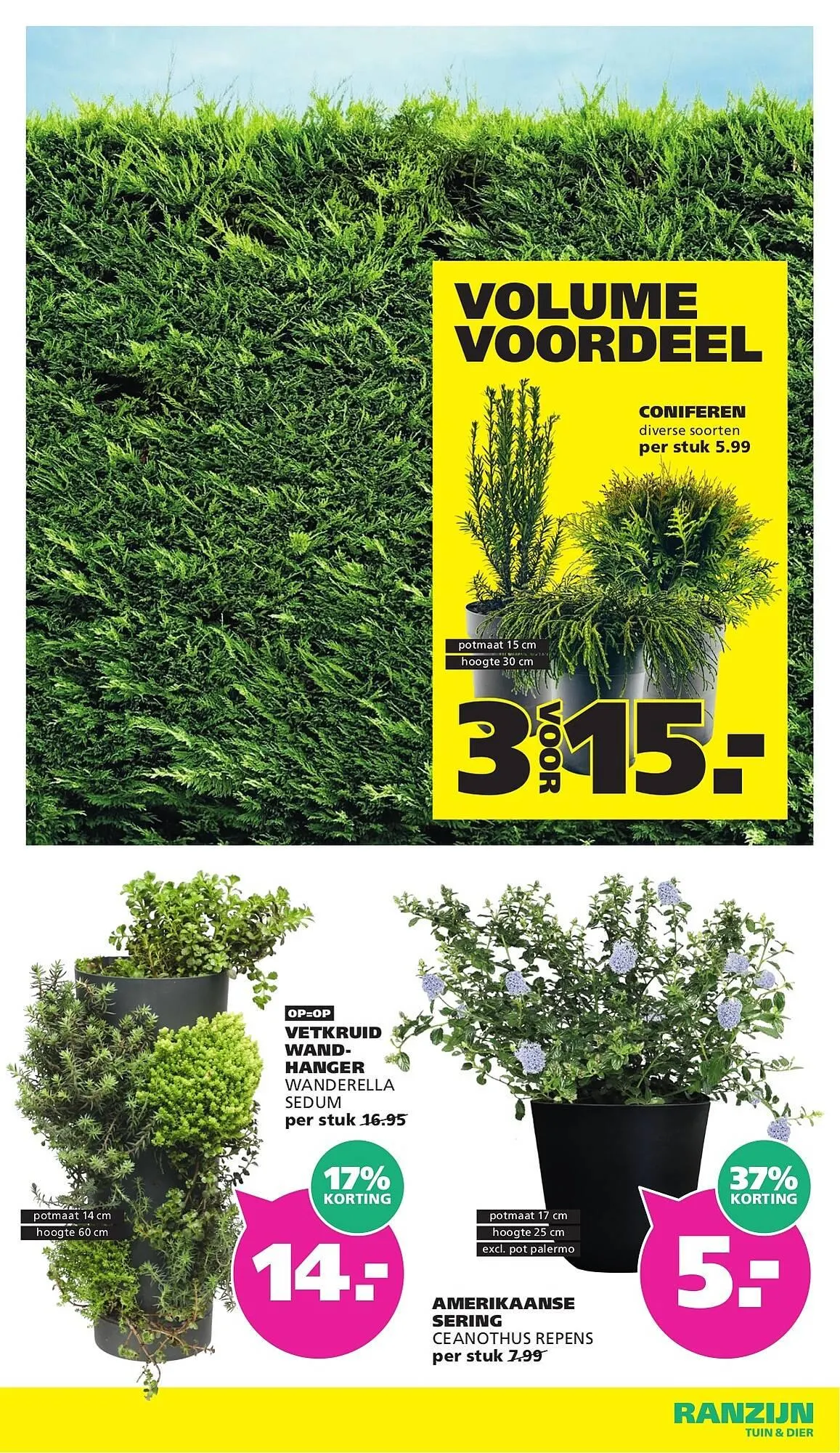 Ranzijn folder van 22 maart tot 28 maart 2026 - Folder pagina 13