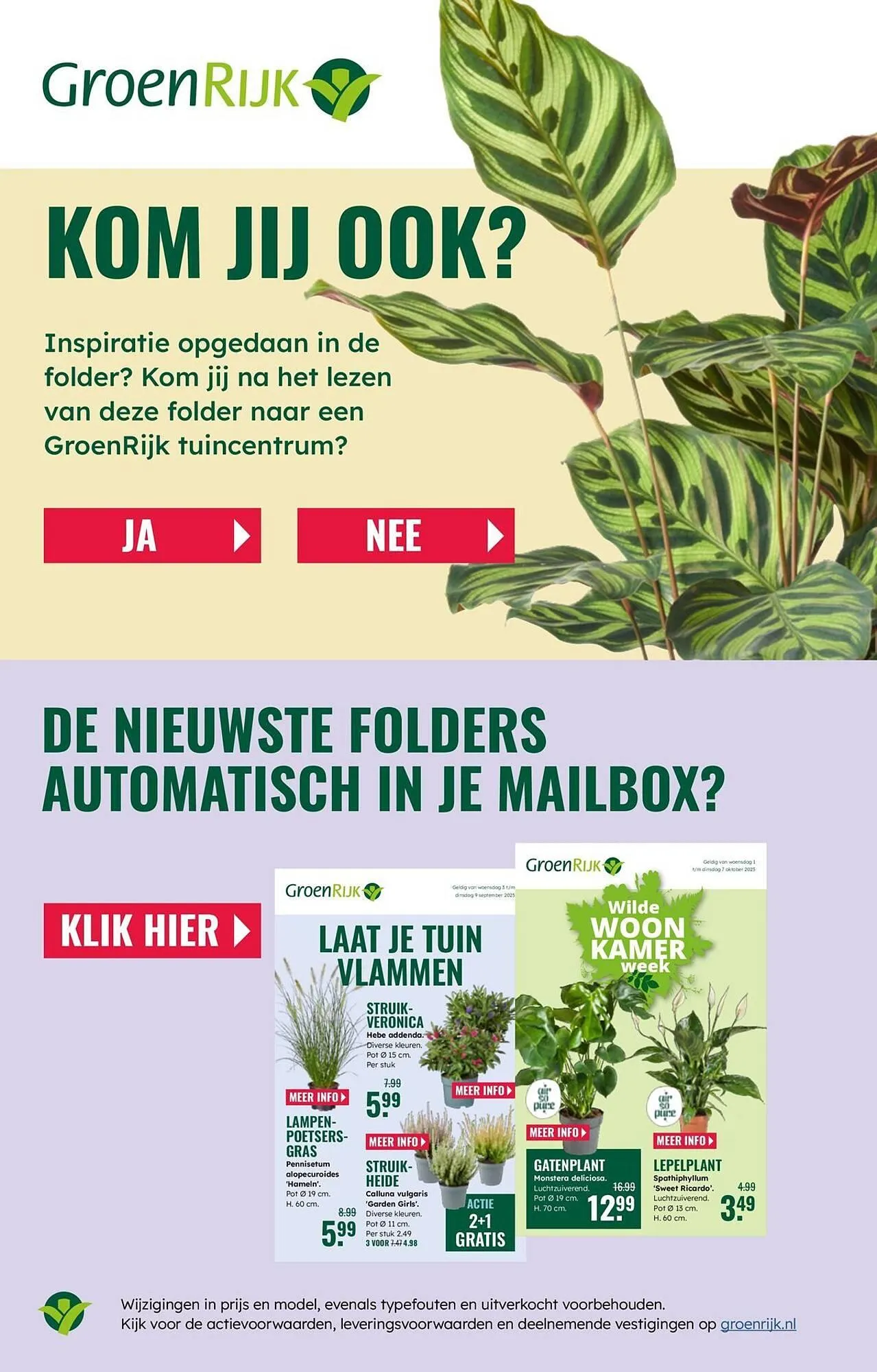 GroenRijk folder van 22 oktober tot 28 oktober 2025 - Folder pagina 16