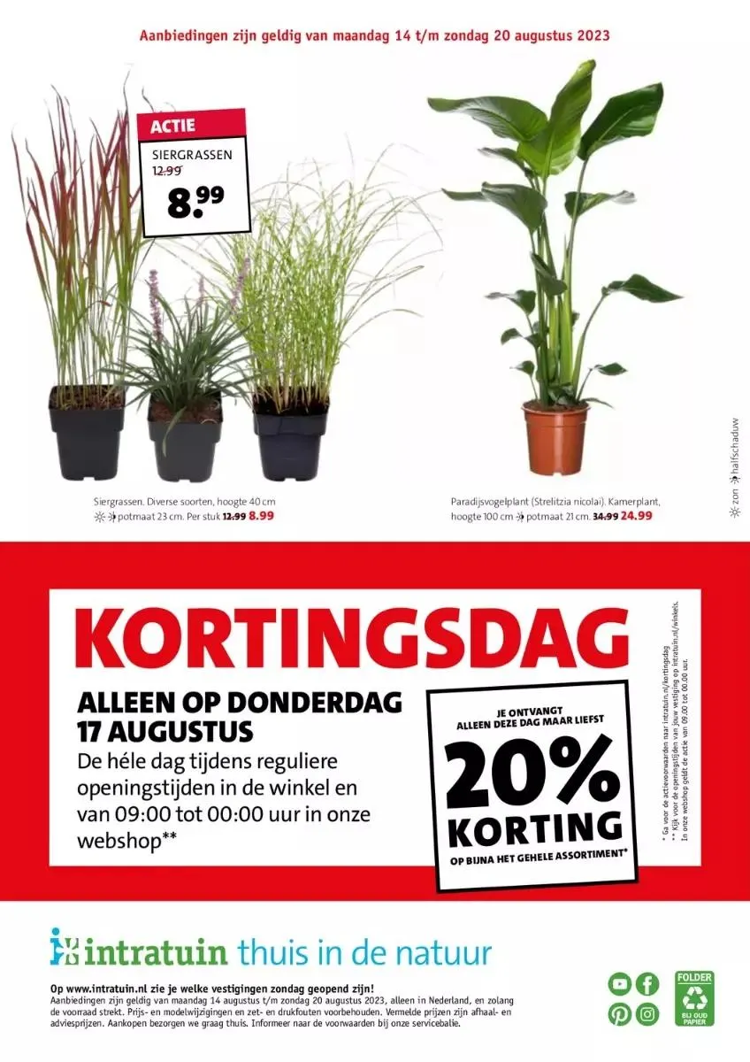 Intratuin Folder van 6 augustus tot 19 augustus 2023 - Folder pagina 2