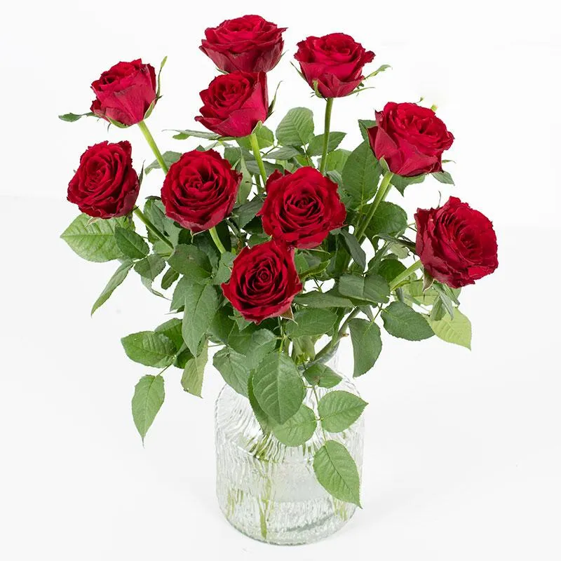 Klassieke rode rozen