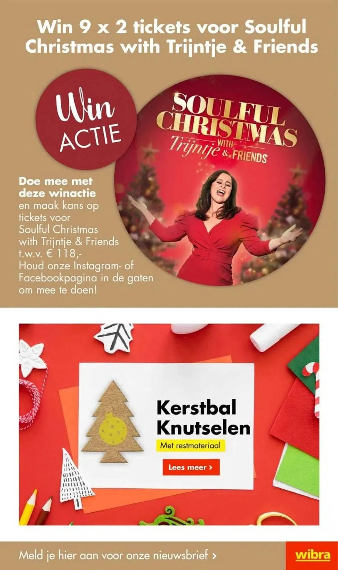 Wibra folder van 20 november tot 3 december 2023 - Folder pagina 35