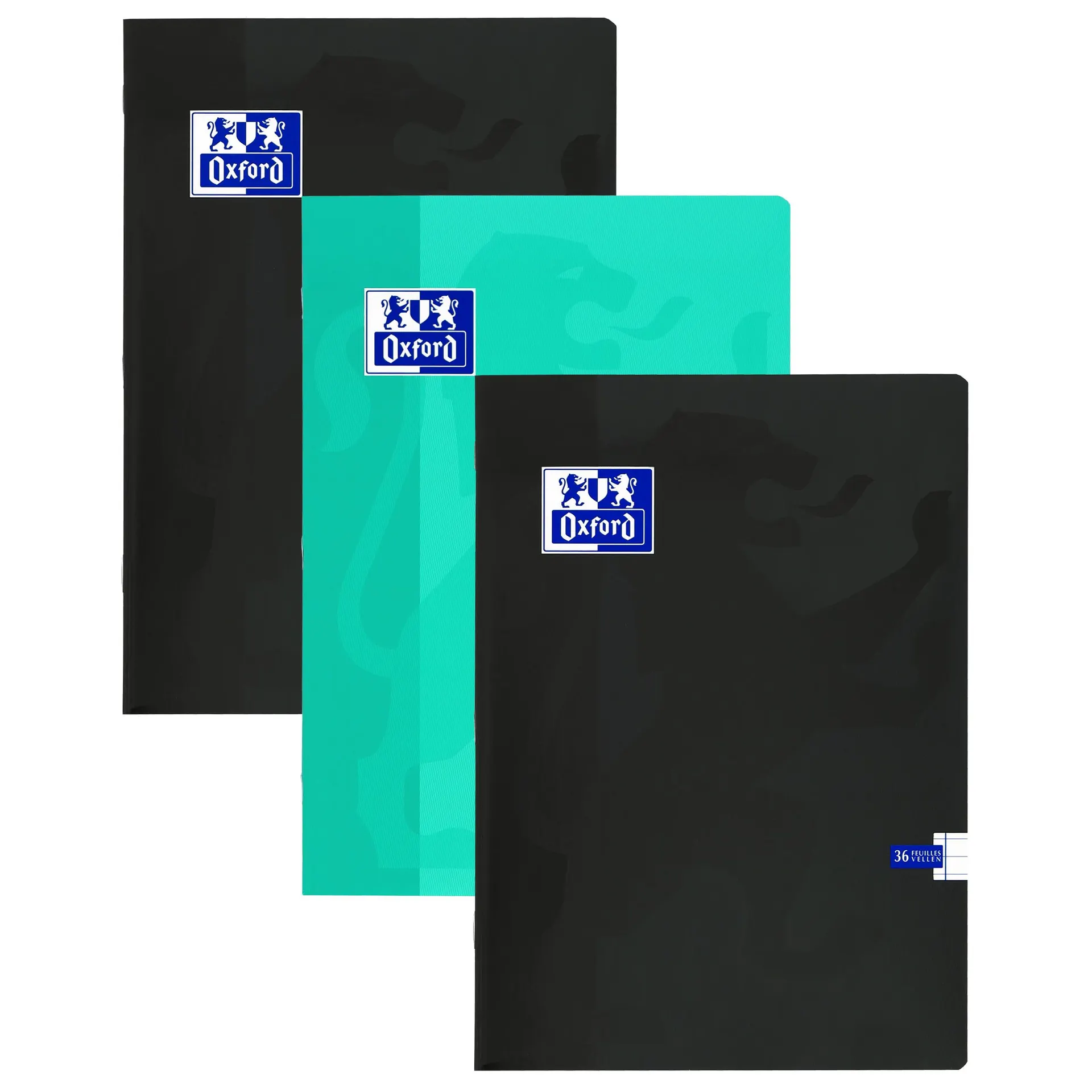 Oxford Schrift A4 ruit 36v assorti