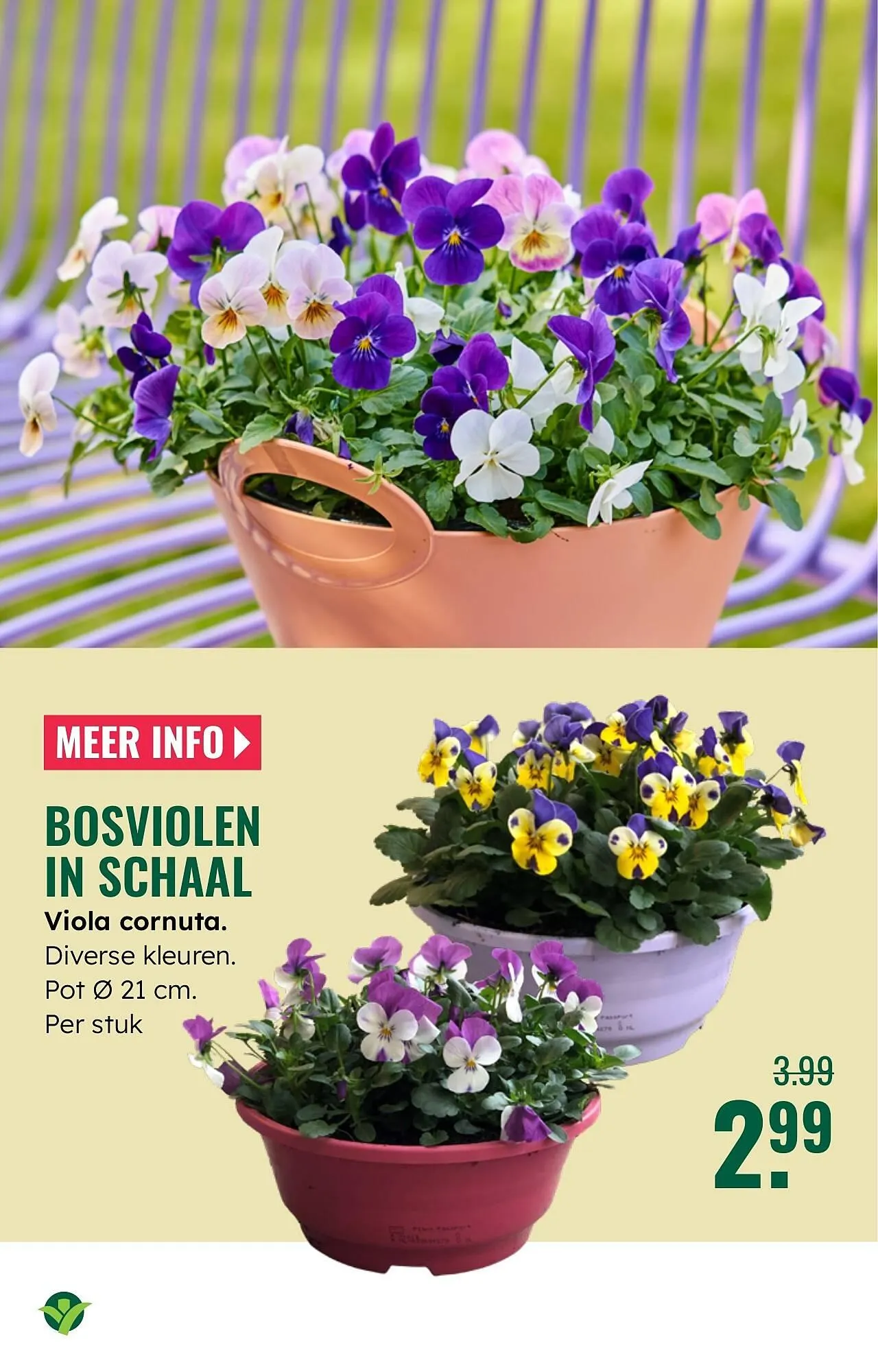 GroenRijk folder van 12 februari tot 18 februari 2026 - Folder pagina 6