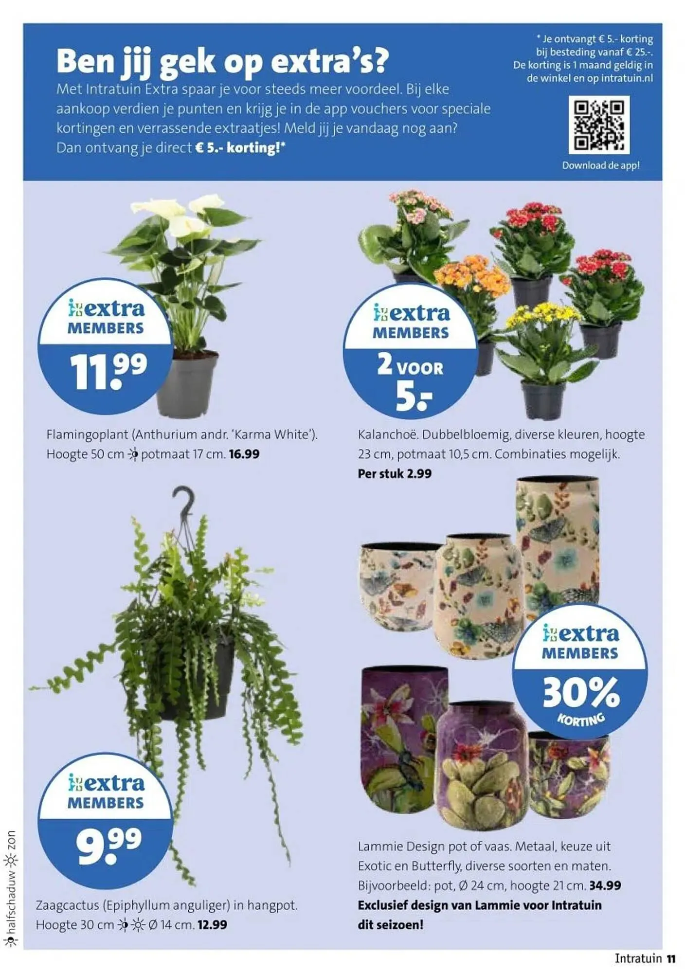 Intratuin folder van 29 december tot 4 januari 2026 - Folder pagina 11