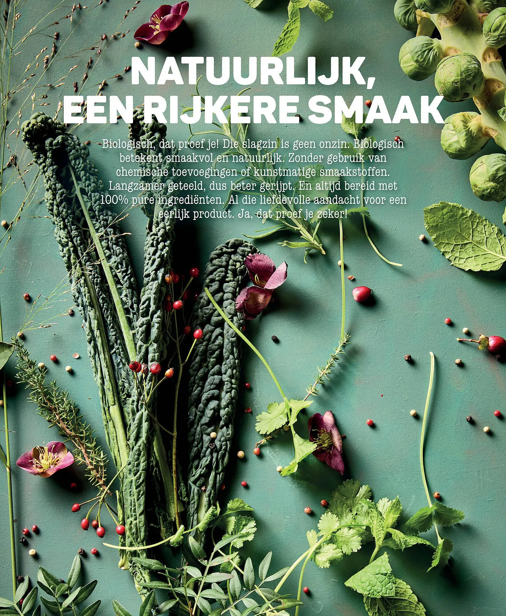 Ekoplaza magazine van 25 november tot 31 januari 2026 - Folder pagina 8