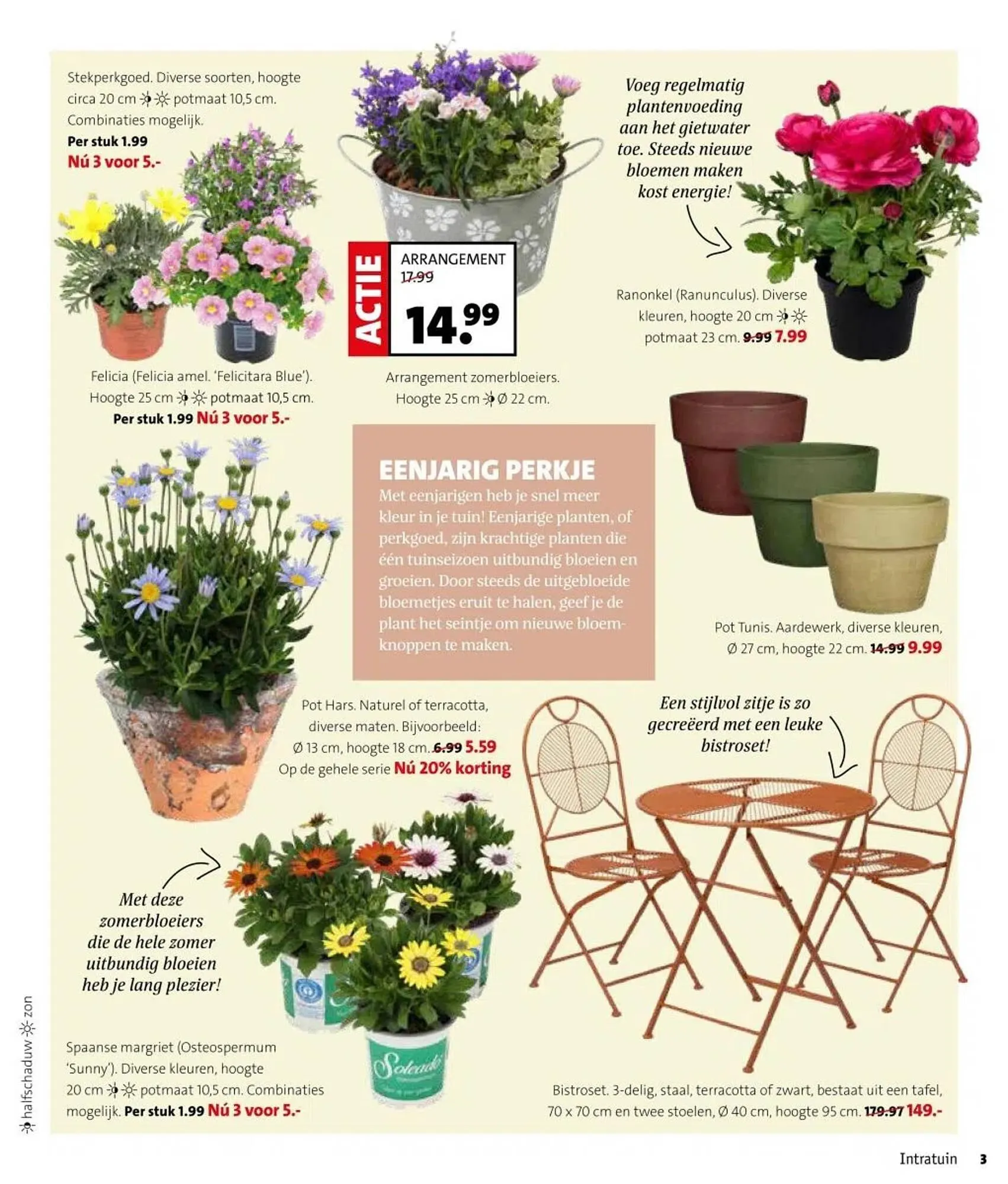Intratuin folder van 31 maart tot 6 april 2025 - Folder pagina 3