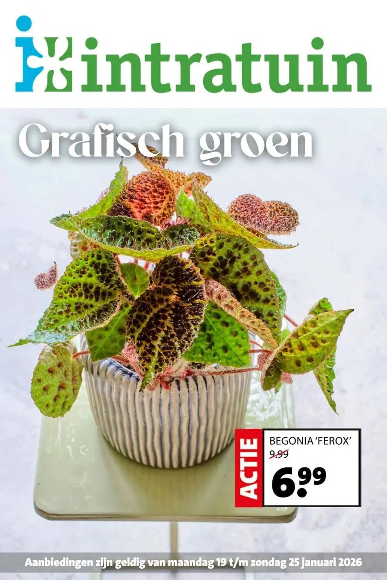 Intratuin folder van 19 januari tot 25 januari 2026 - Folder pagina 1