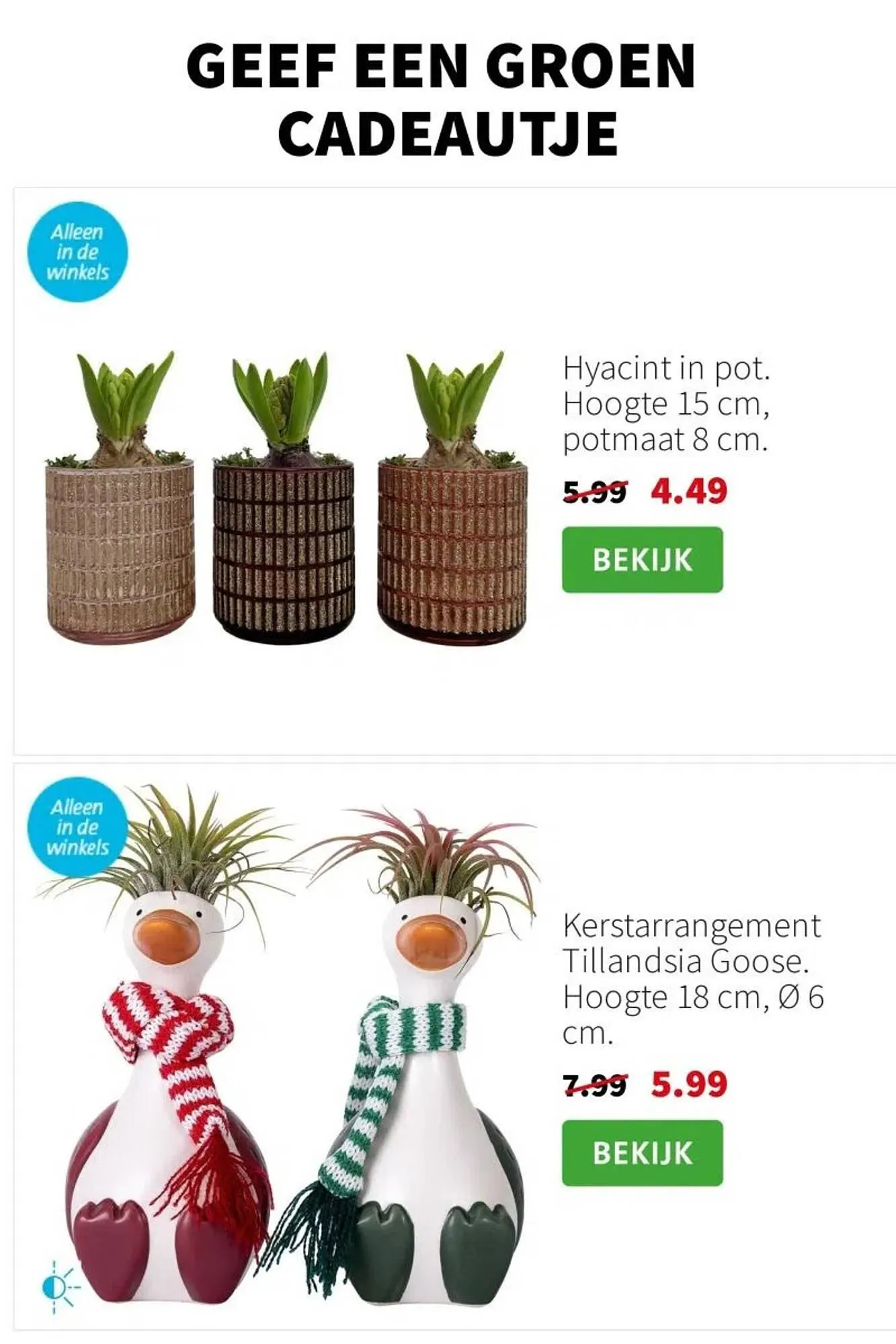 Intratuin folder van 15 december tot 21 december 2025 - Folder pagina 5