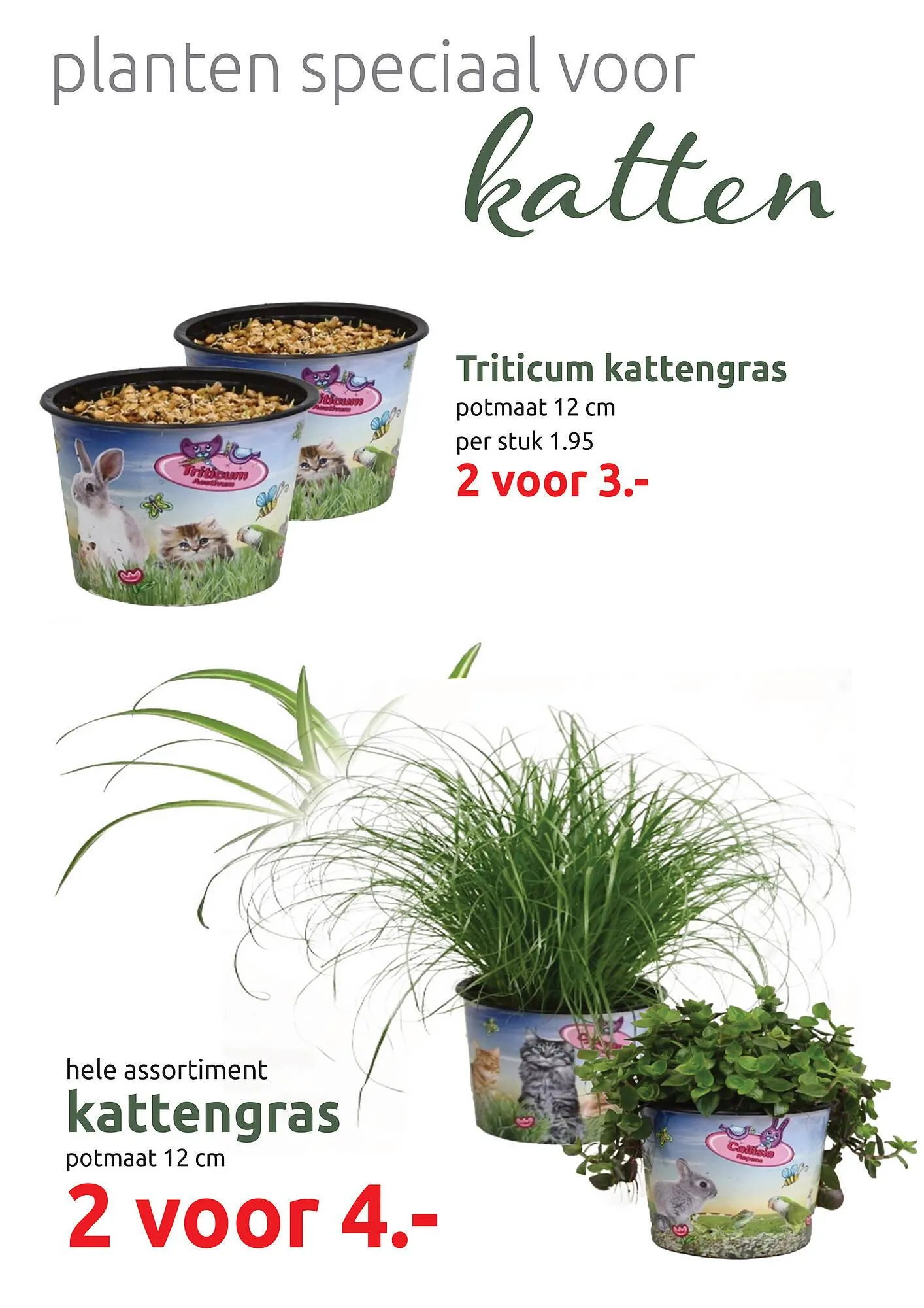 Deka Tuin folder van 3 maart tot 15 maart 2025 - Folder pagina 16