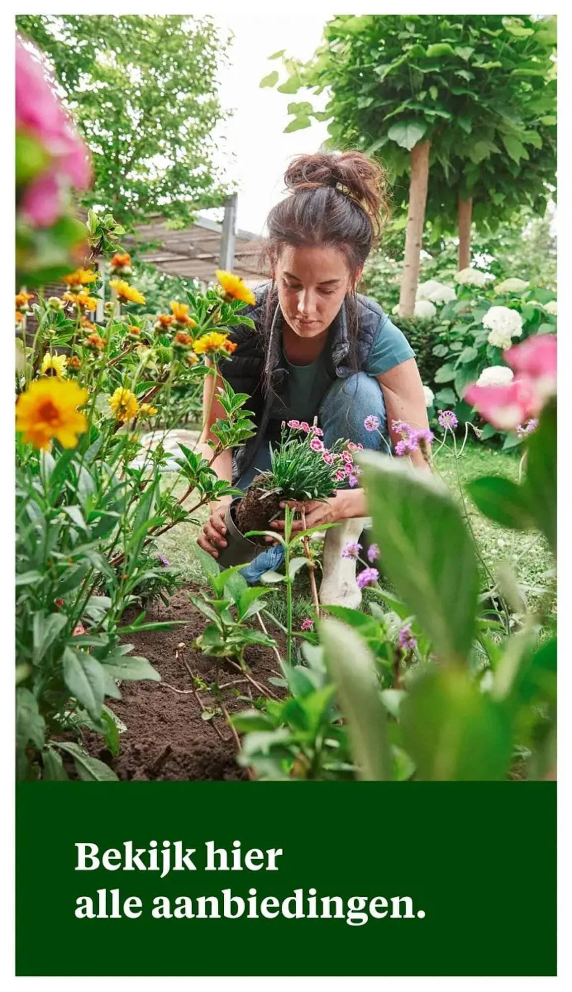 Welkoop folder van 31 maart tot 13 april 2025 - Folder pagina 31