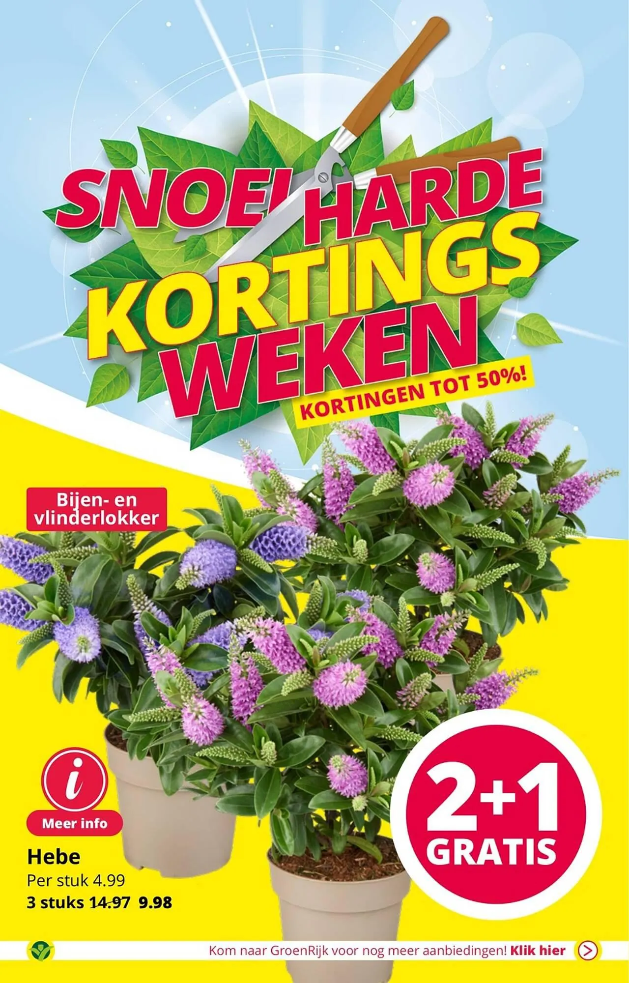 GroenRijk folder van 1 augustus tot 15 augustus 2023 - Folder pagina 4