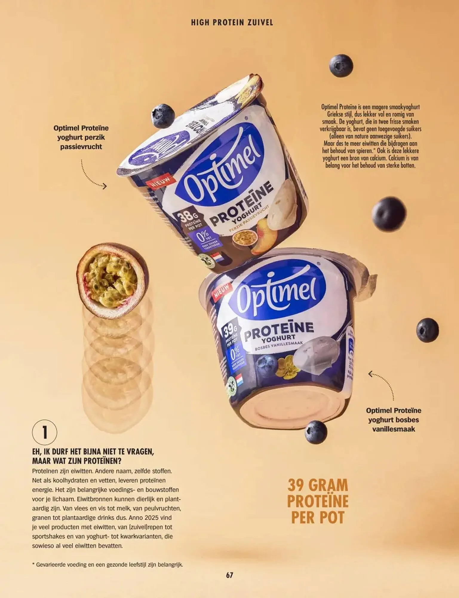 Albert Heijn folder van 10 maart tot 31 december 2025 - Folder pagina 67