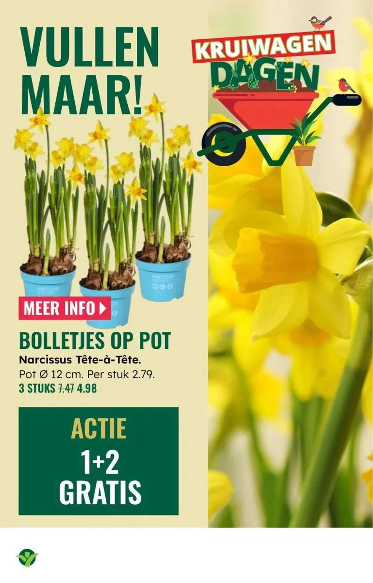 GroenRijk folder van 5 maart tot 11 maart 2026 - Folder pagina 10