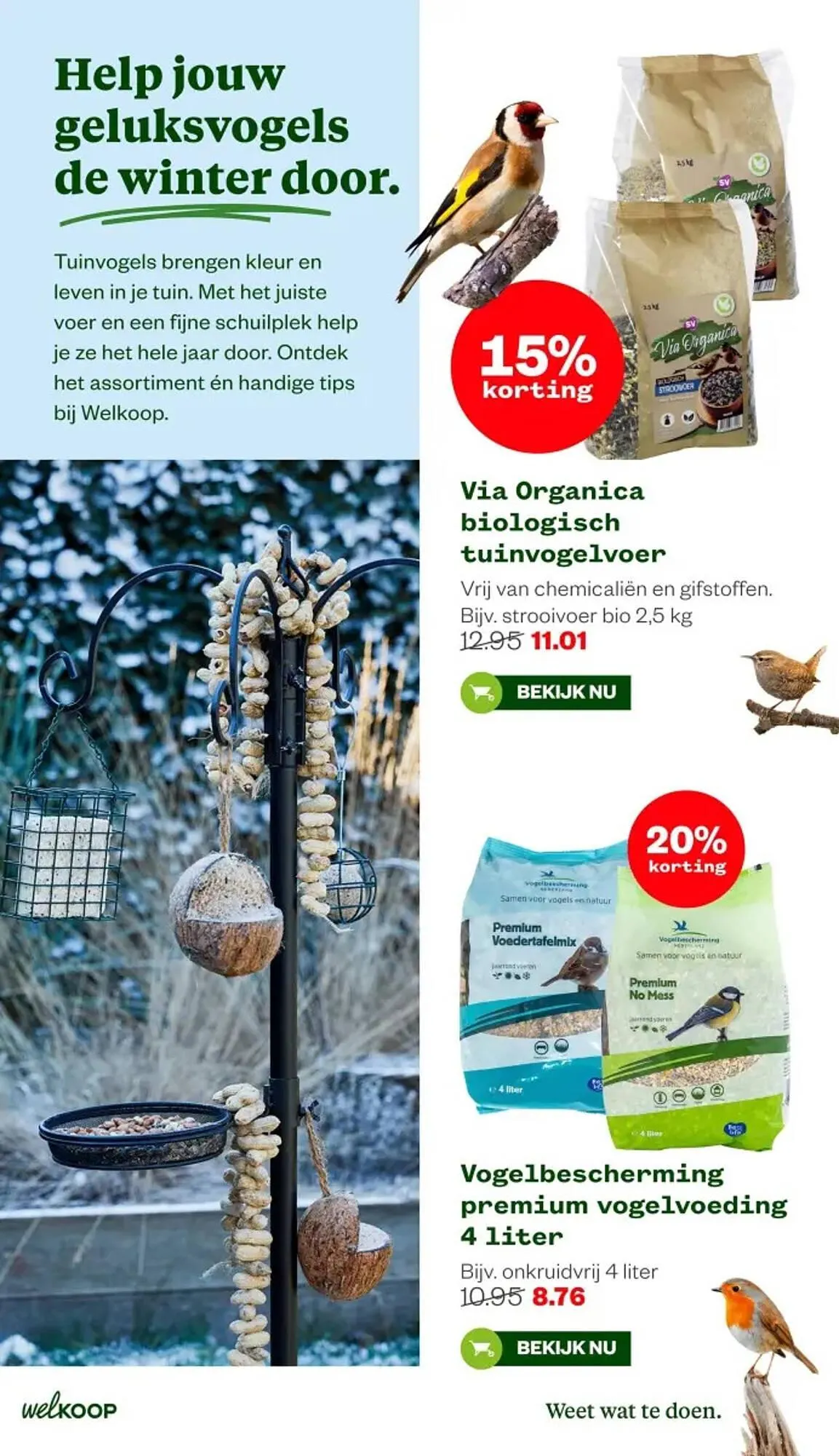 Welkoop folder van 19 januari tot 1 februari 2026 - Folder pagina 9