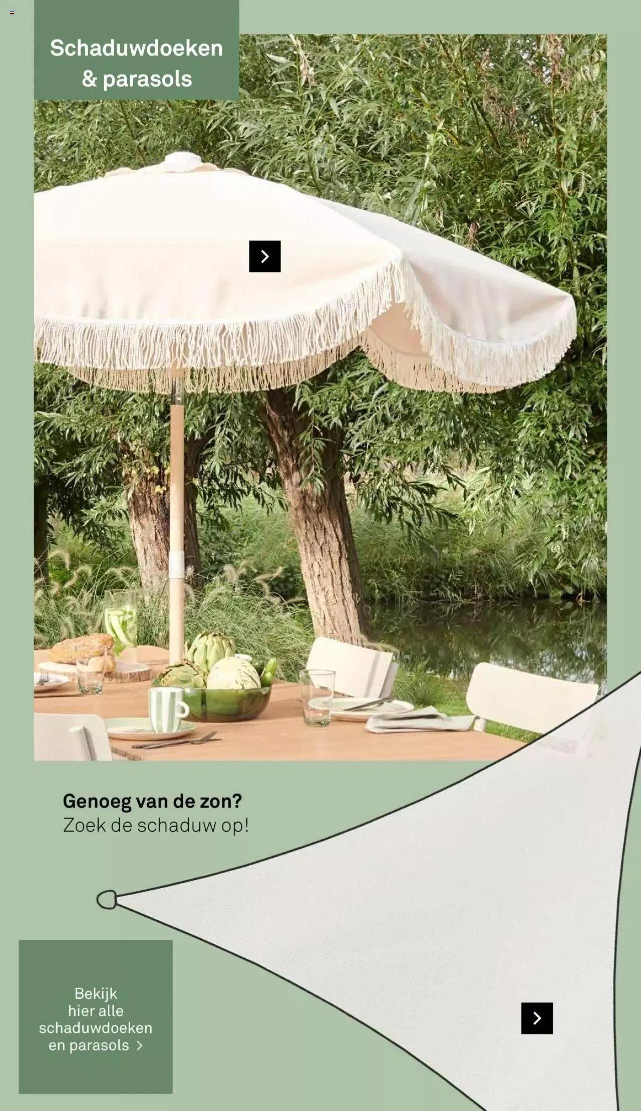 KARWEI - Tuincatalogus van 4 maart tot 31 december 2024 - Folder pagina 43