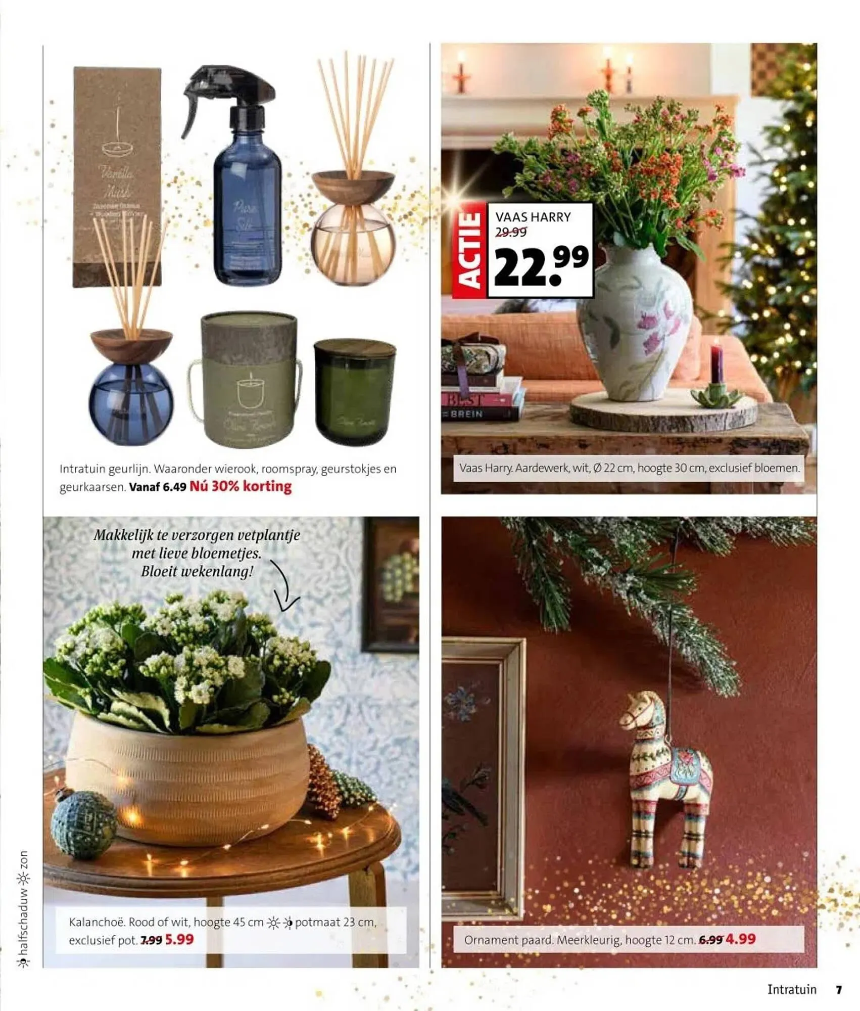 Intratuin folder van 17 november tot 23 november 2025 - Folder pagina 7