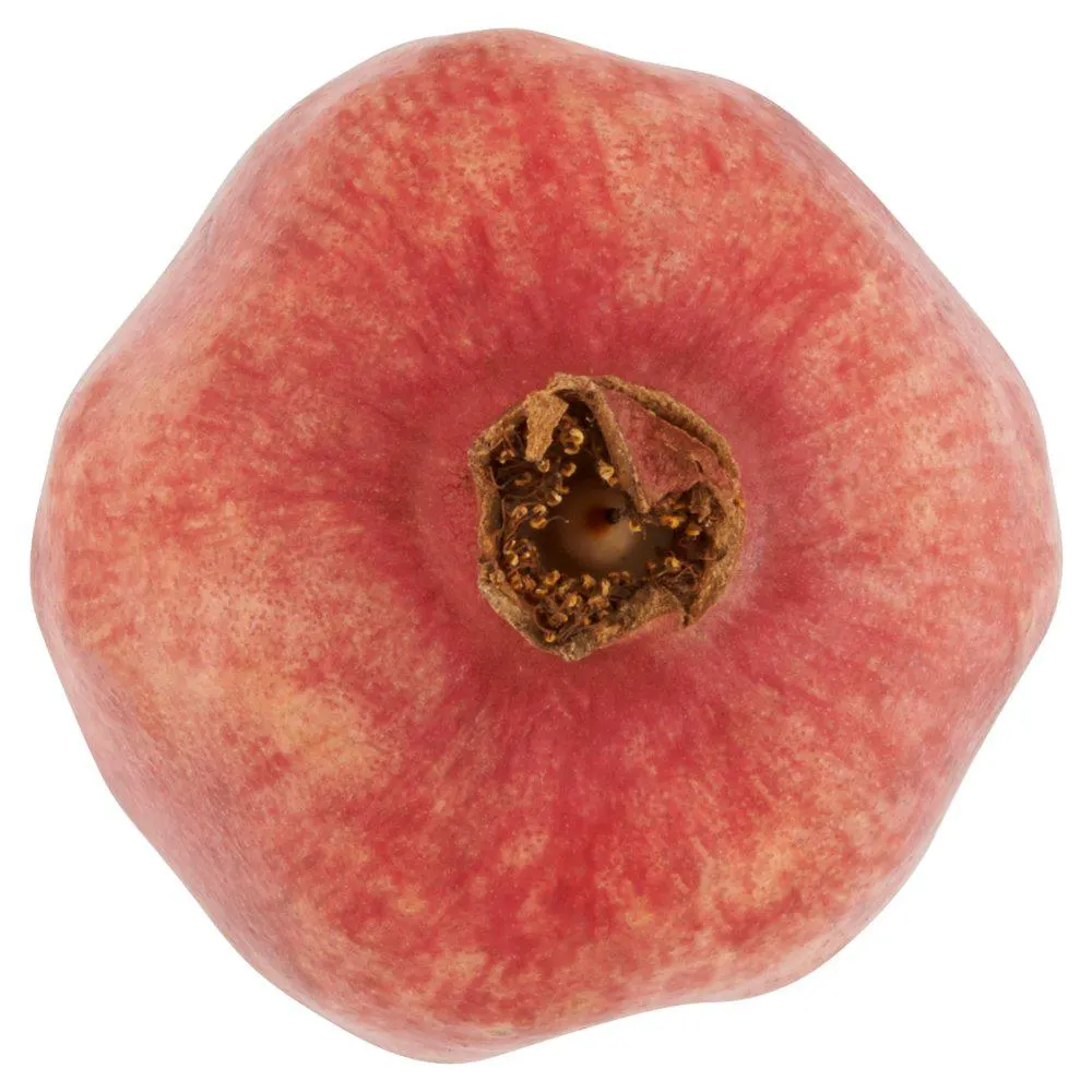 Granaatappel 1 Stuk