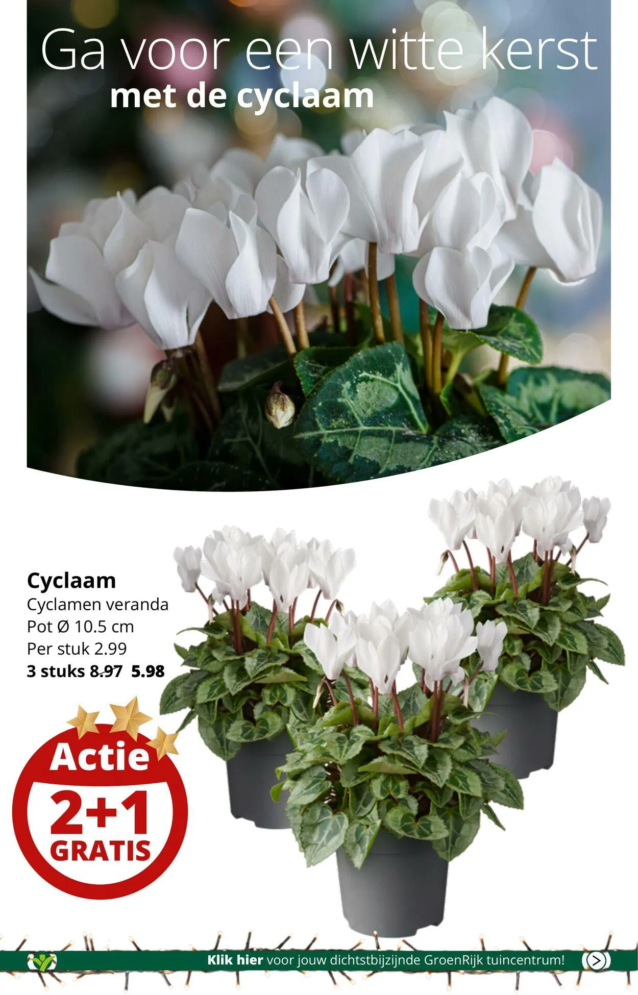 GroenRijk Actuele folder van 15 april tot 29 april 2025 - Folder pagina 16