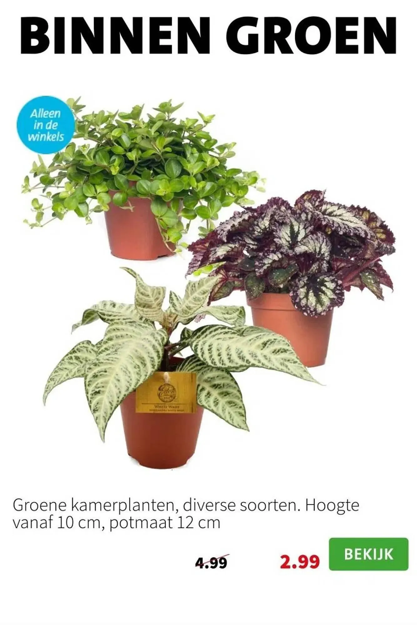 Intratuin folder van 20 november tot 26 november 2023 - Folder pagina 2