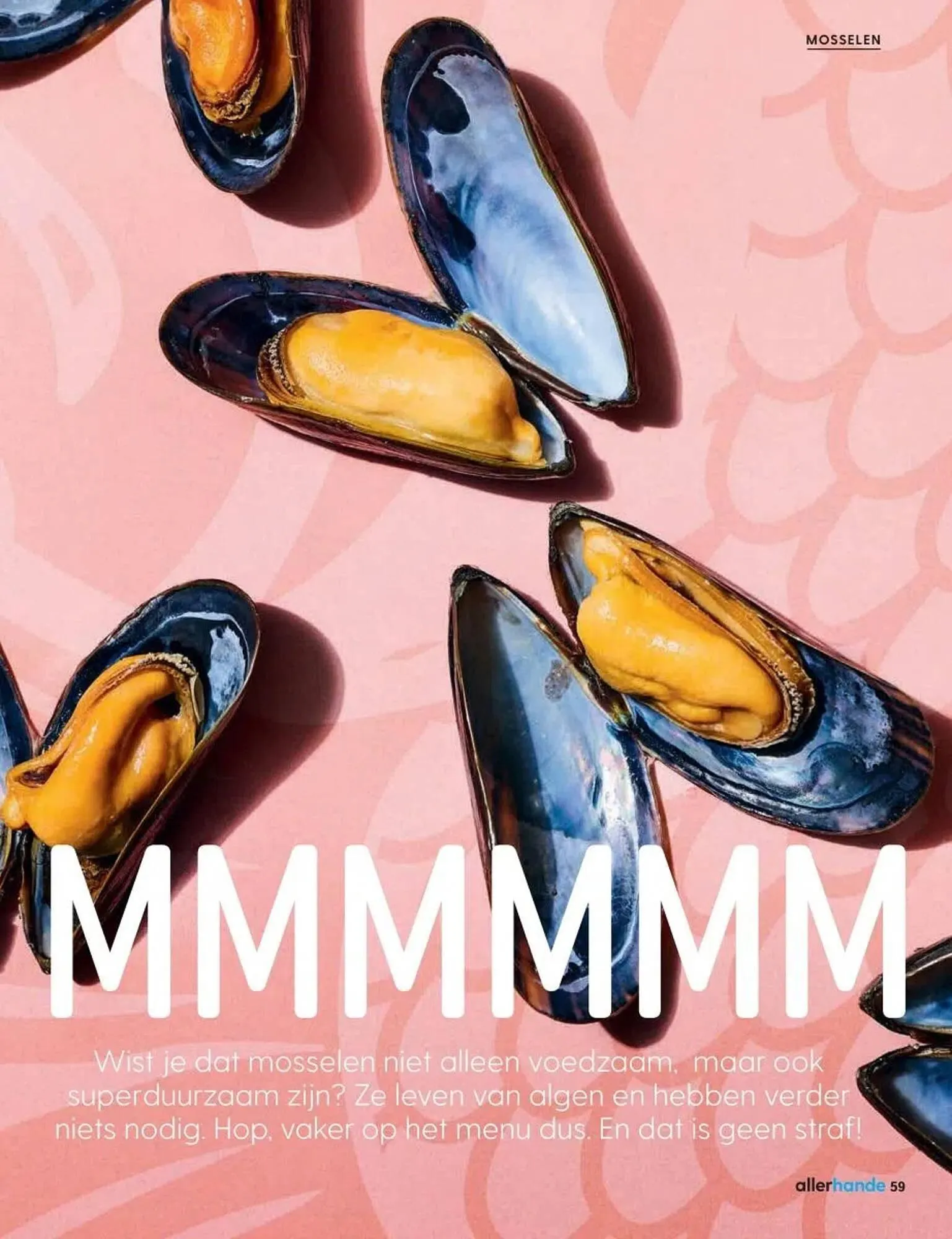 Albert Heijn folder van 19 mei tot 16 juni 2025 - Folder pagina 59