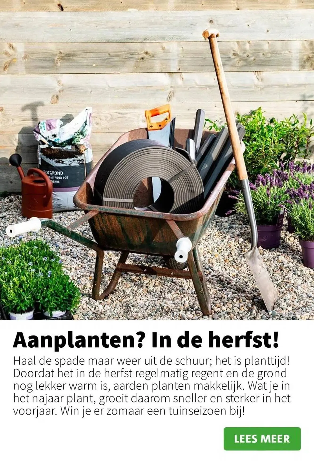 Intratuin folder van 2 september tot 8 september 2024 - Folder pagina 4