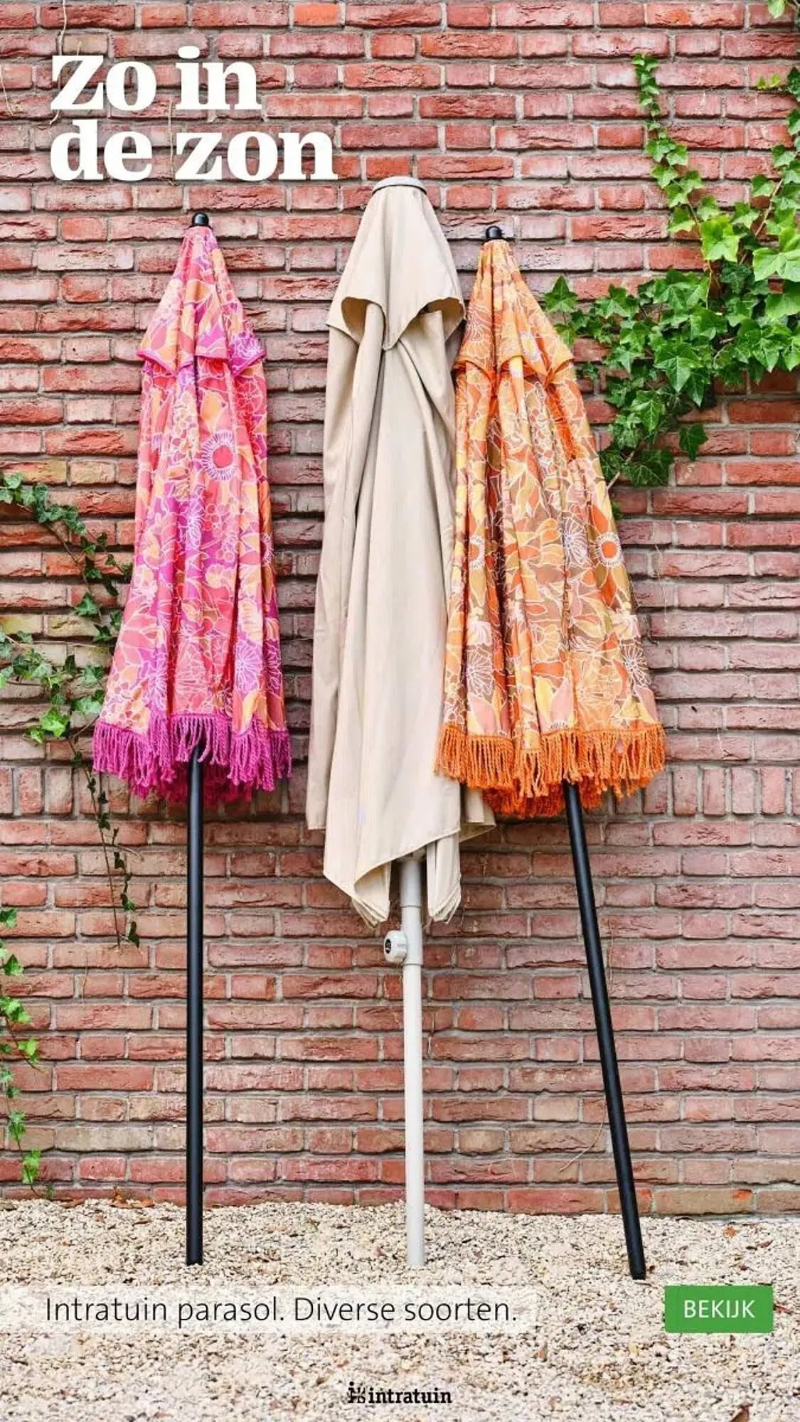 Intratuin folder van 31 maart tot 31 augustus 2025 - Folder pagina 23