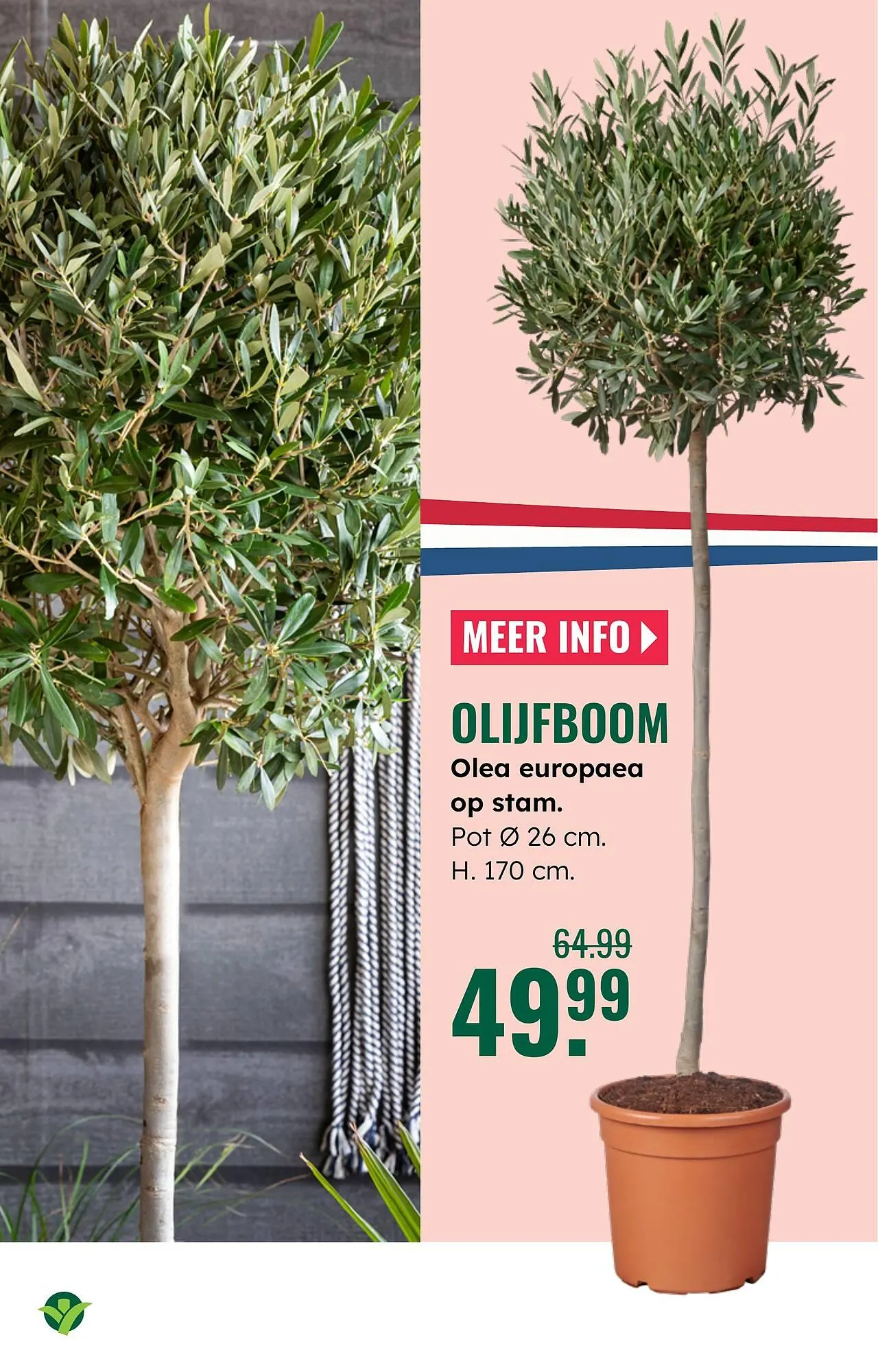 GroenRijk folder van 23 april tot 29 april 2026 - Folder pagina 6