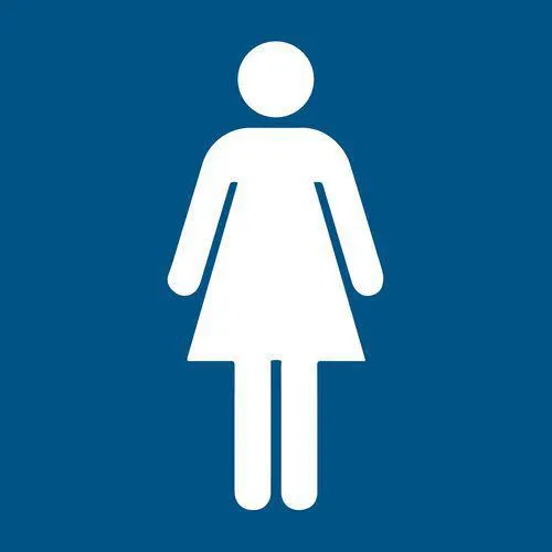 Pictogram Toilet dames