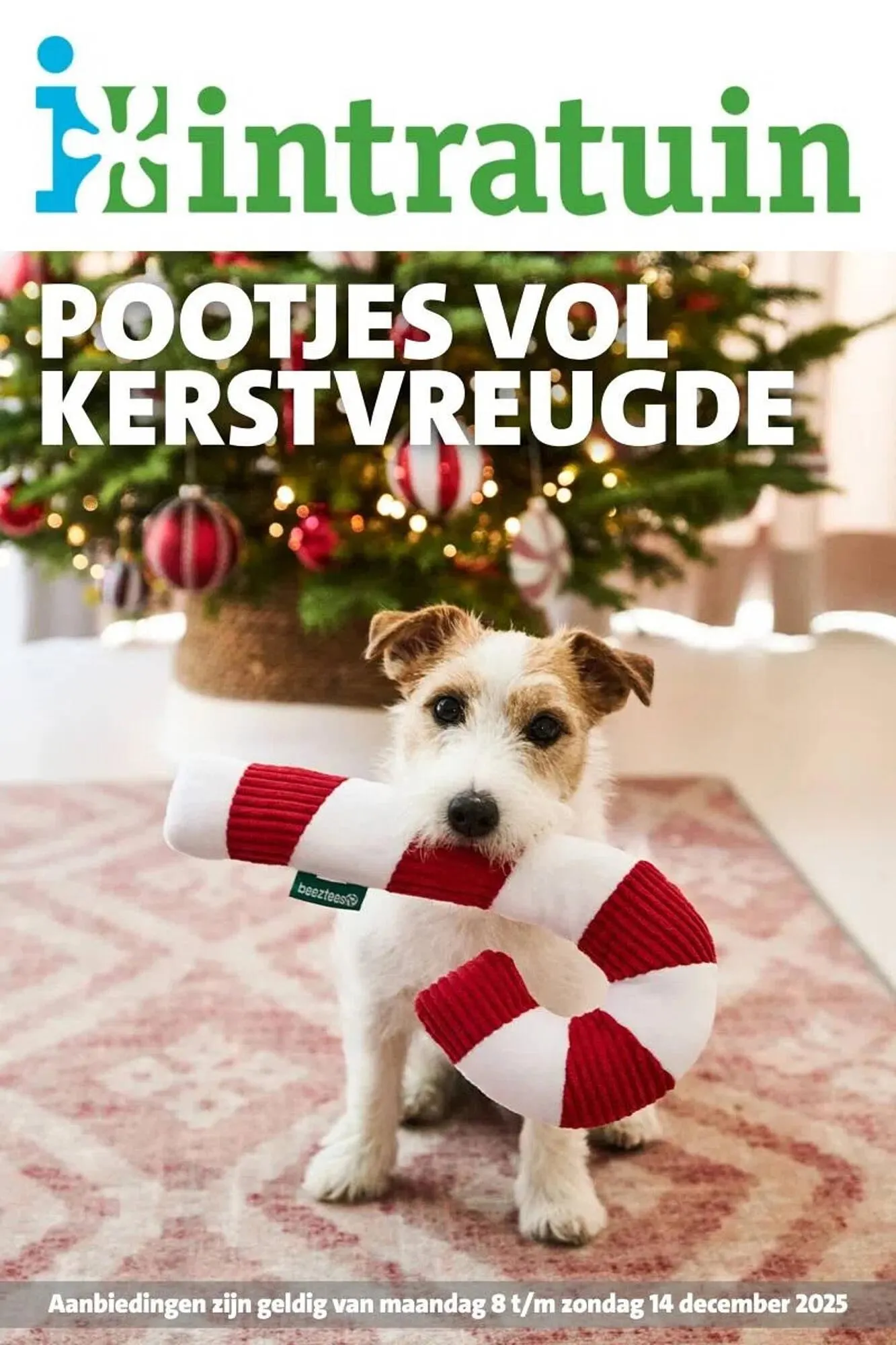 Intratuin folder - 1