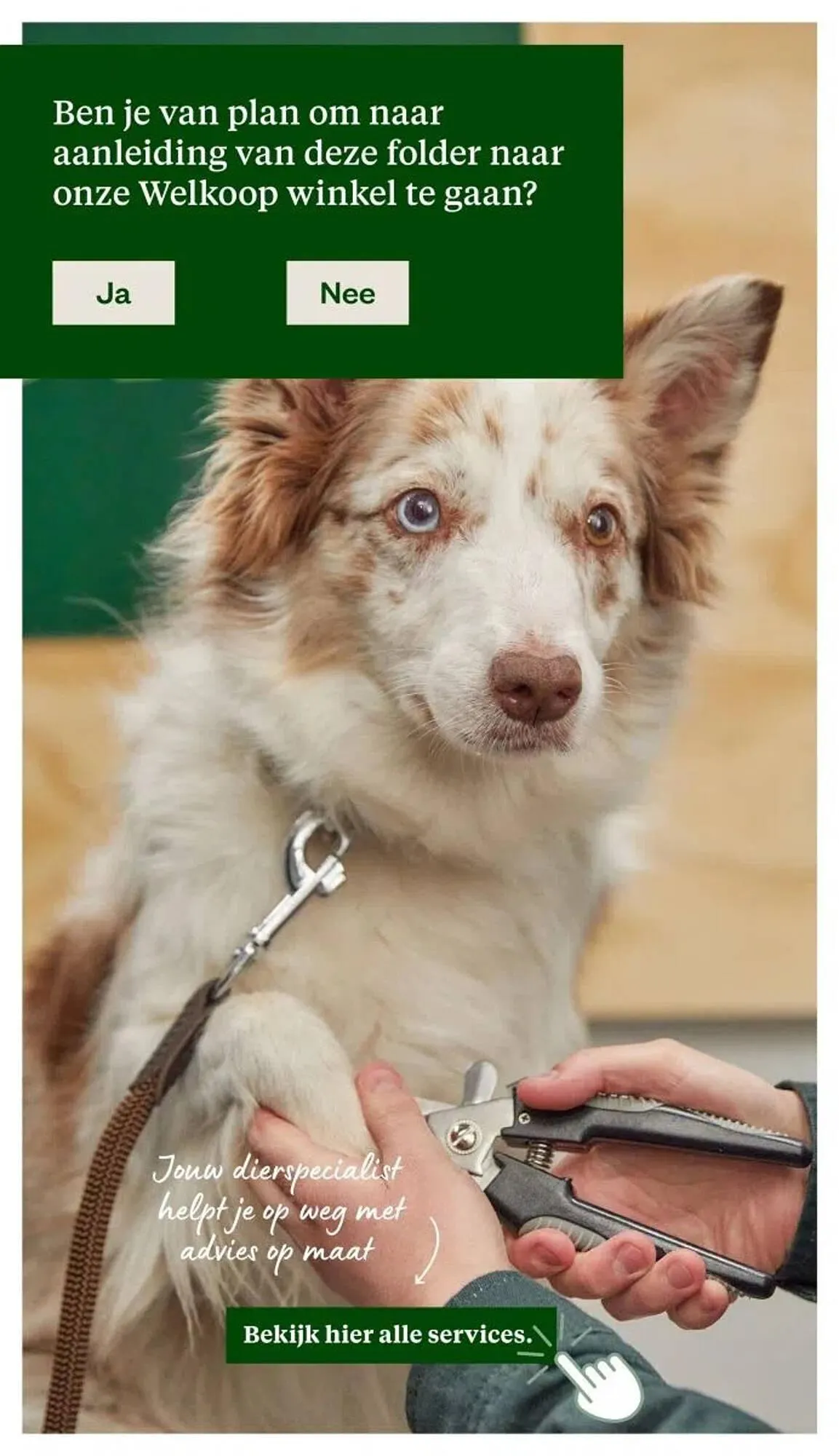 Welkoop folder van 29 december tot 4 januari 2026 - Folder pagina 24