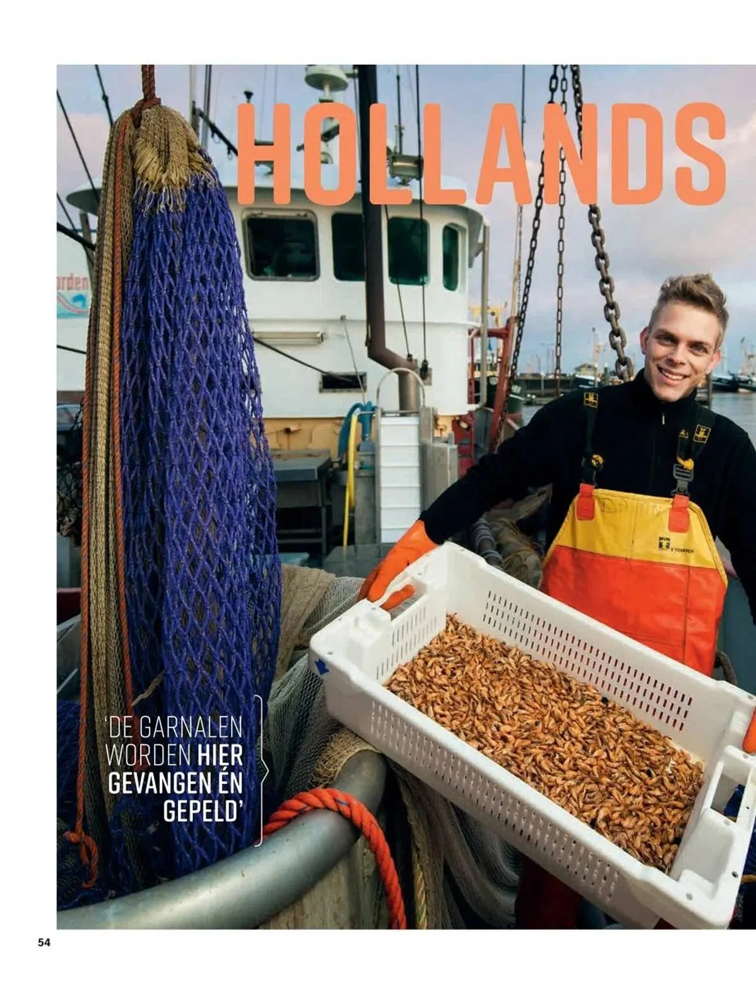 Albert Heijn folder van 19 mei tot 16 juni 2025 - Folder pagina 54