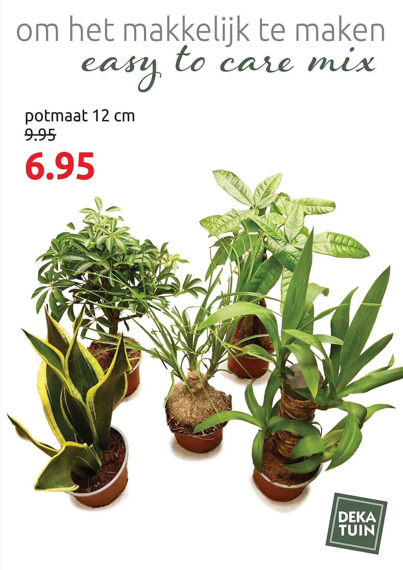 Deka Tuin folder van 3 maart tot 15 maart 2025 - Folder pagina 5